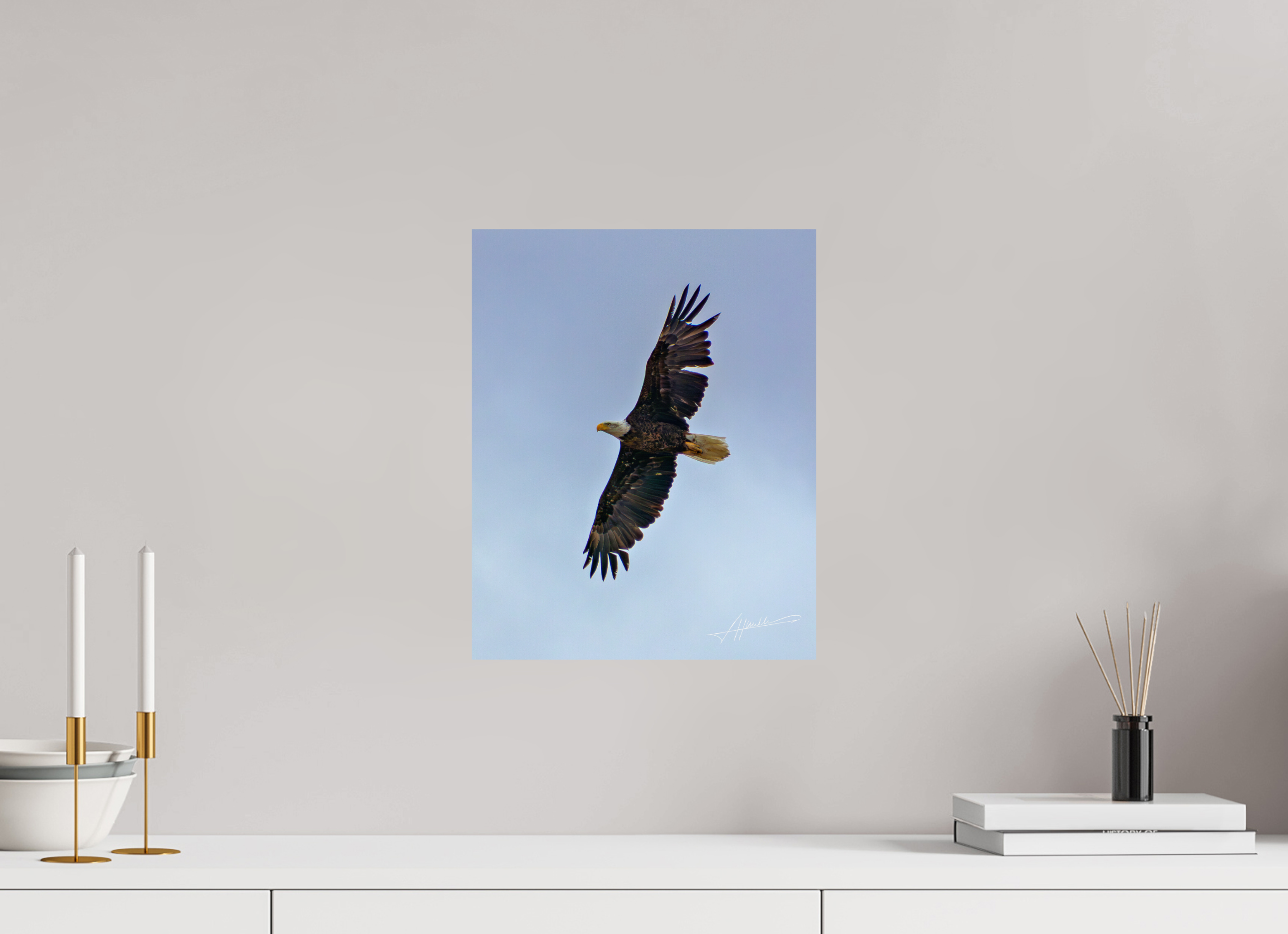 12 x 15″, Fine Art Print Wings Spread