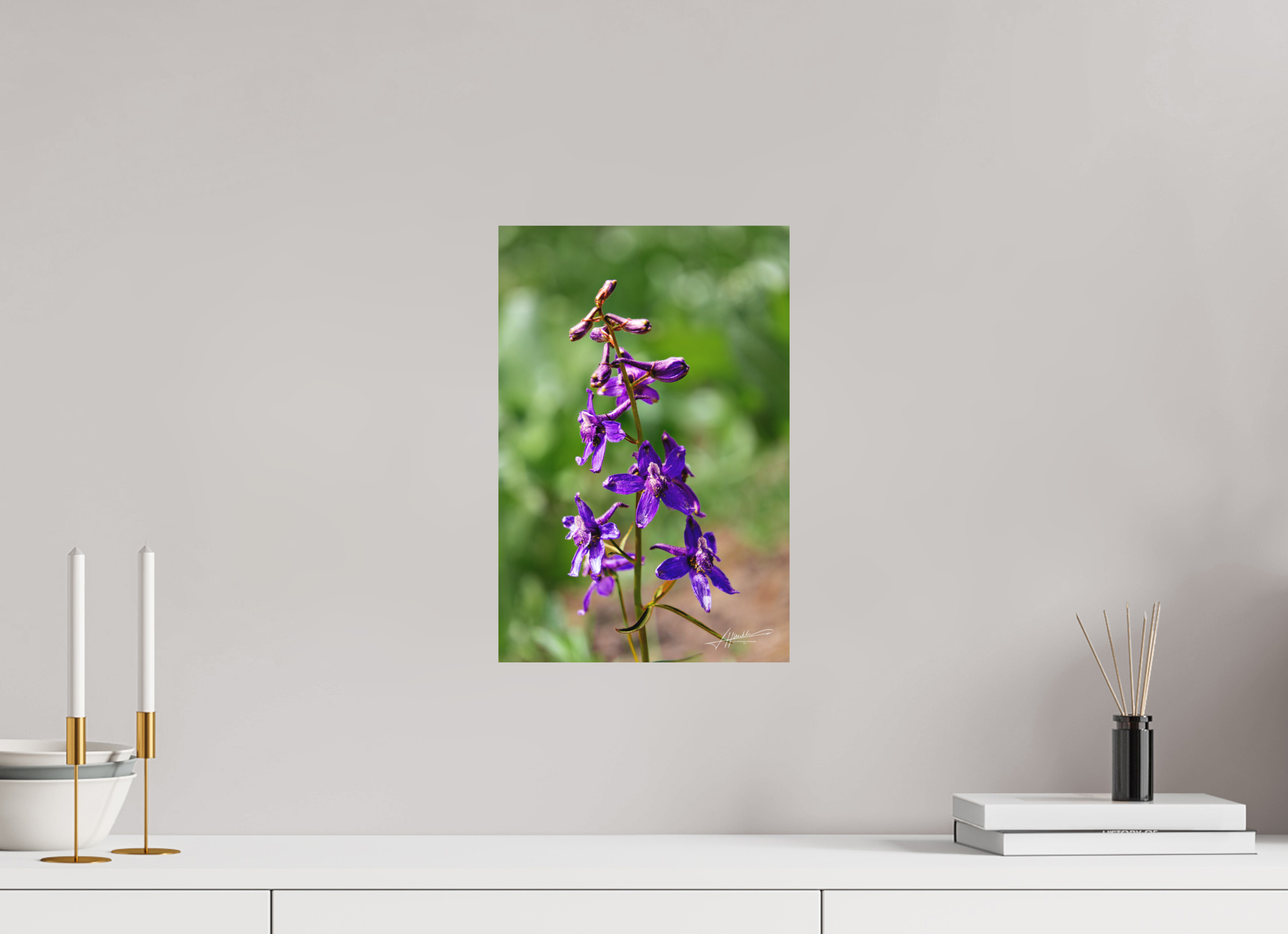 10 x 15″, Metal Dibond Spring In Bloom