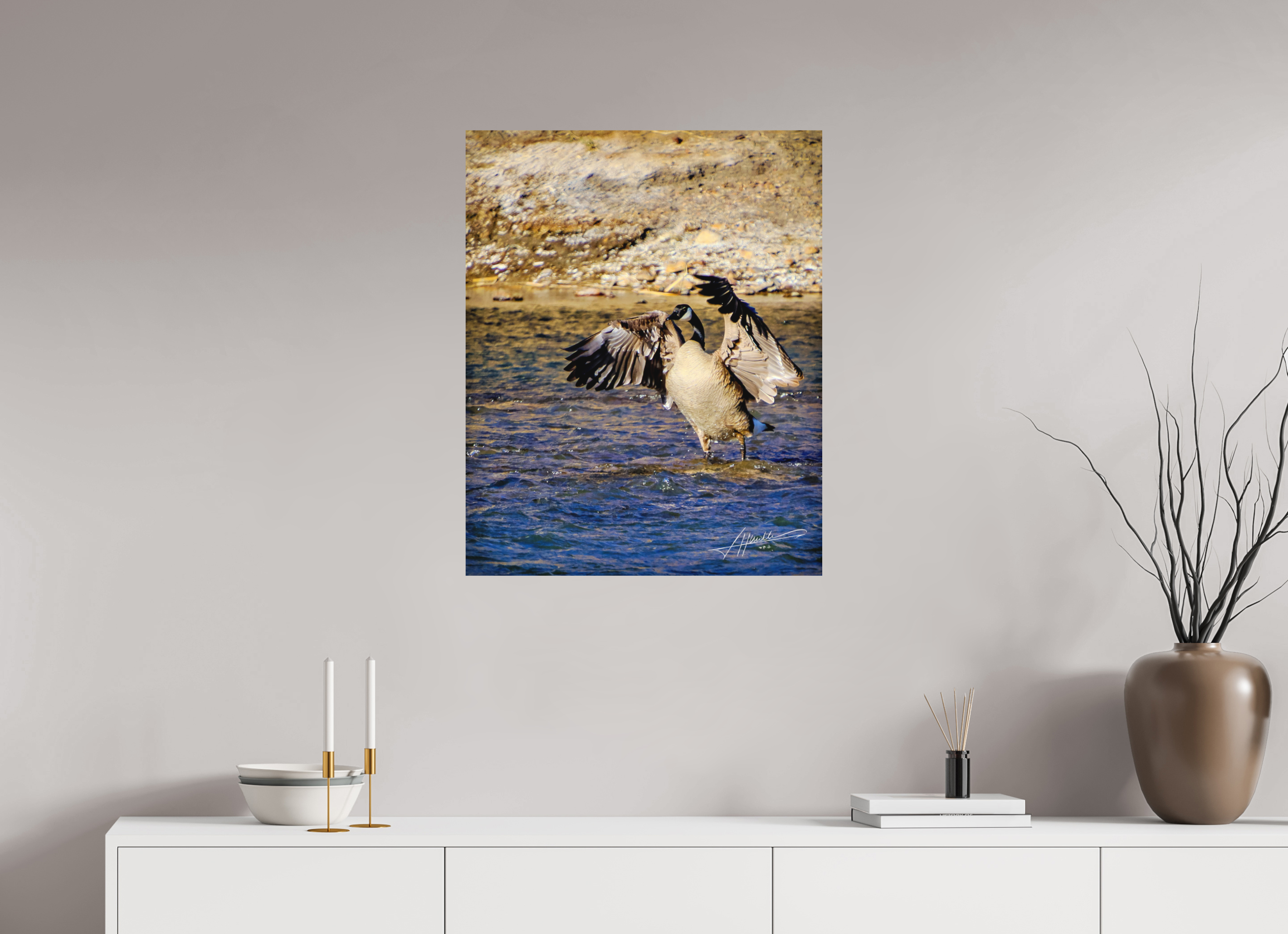 24 x 30″, Metal Dibond The Bathing Goose