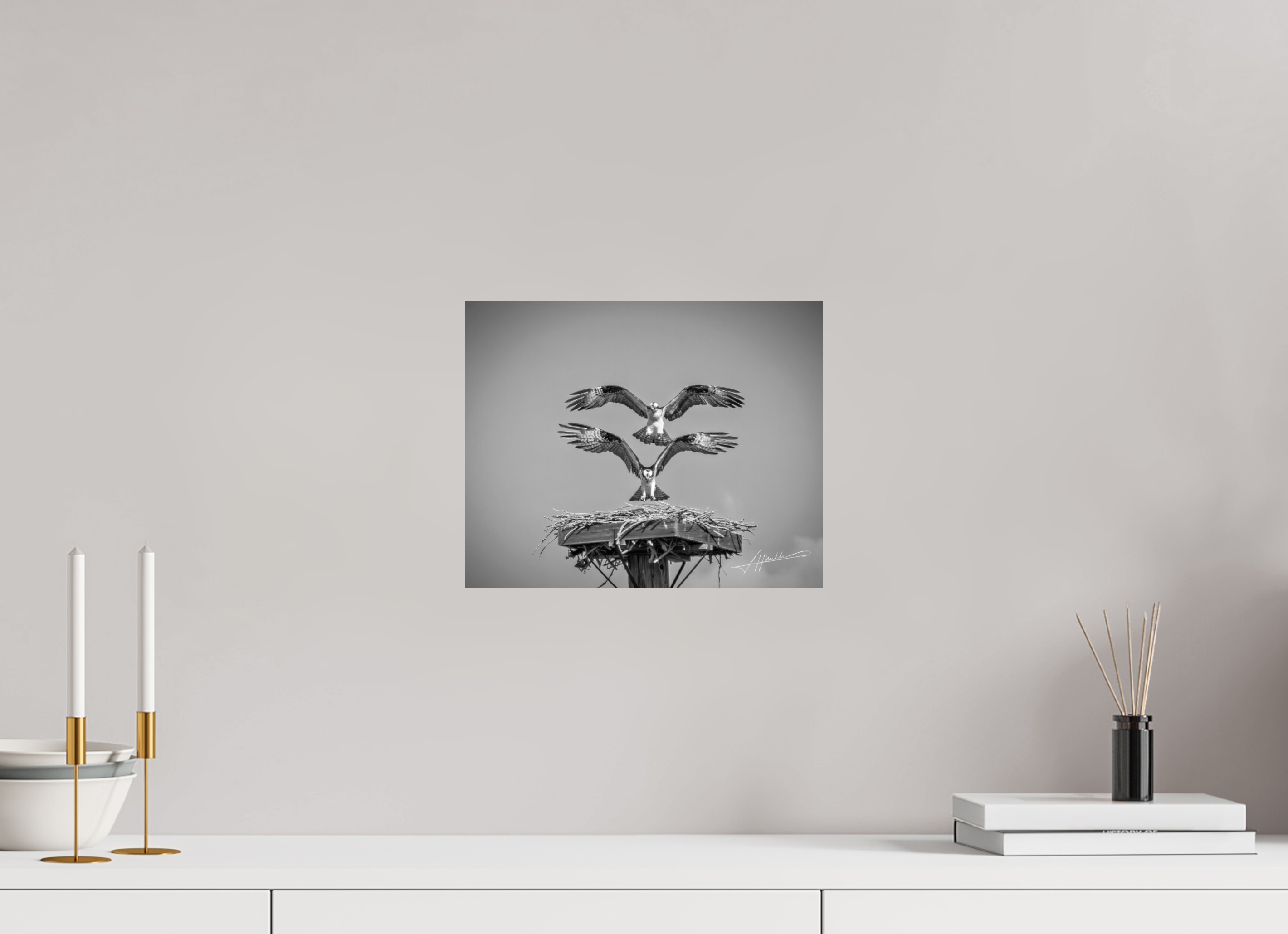 12.5 x 10″, Photo Print On Ilford Baryta Paper Two Osprey Landing