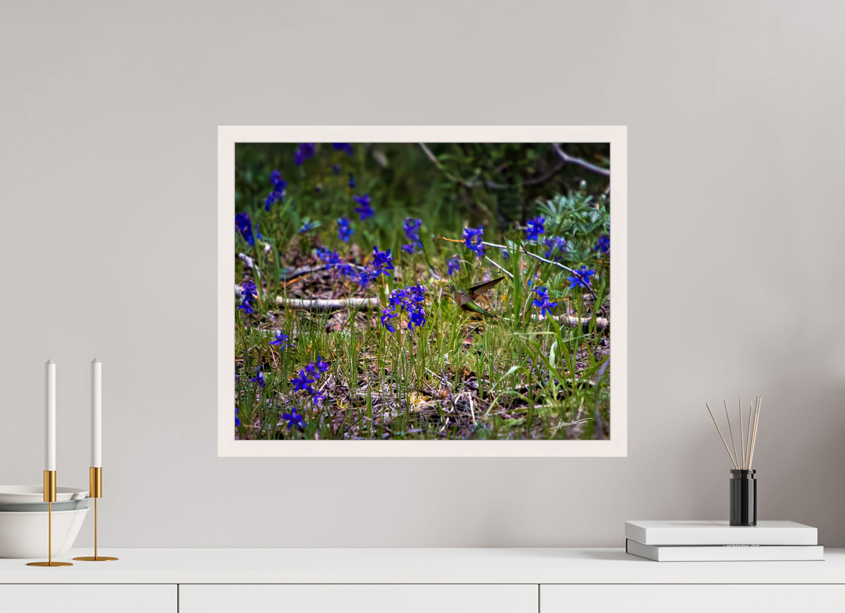 20 x 16″, Gallery Frame Feeding Hummingbird