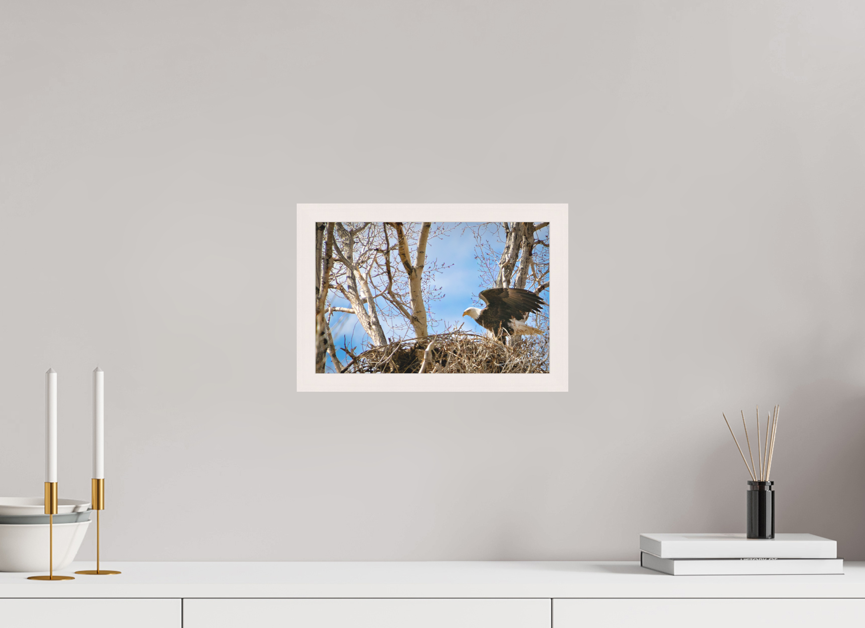 12 x 8″, Shadow Box Frame The Eagles Nest