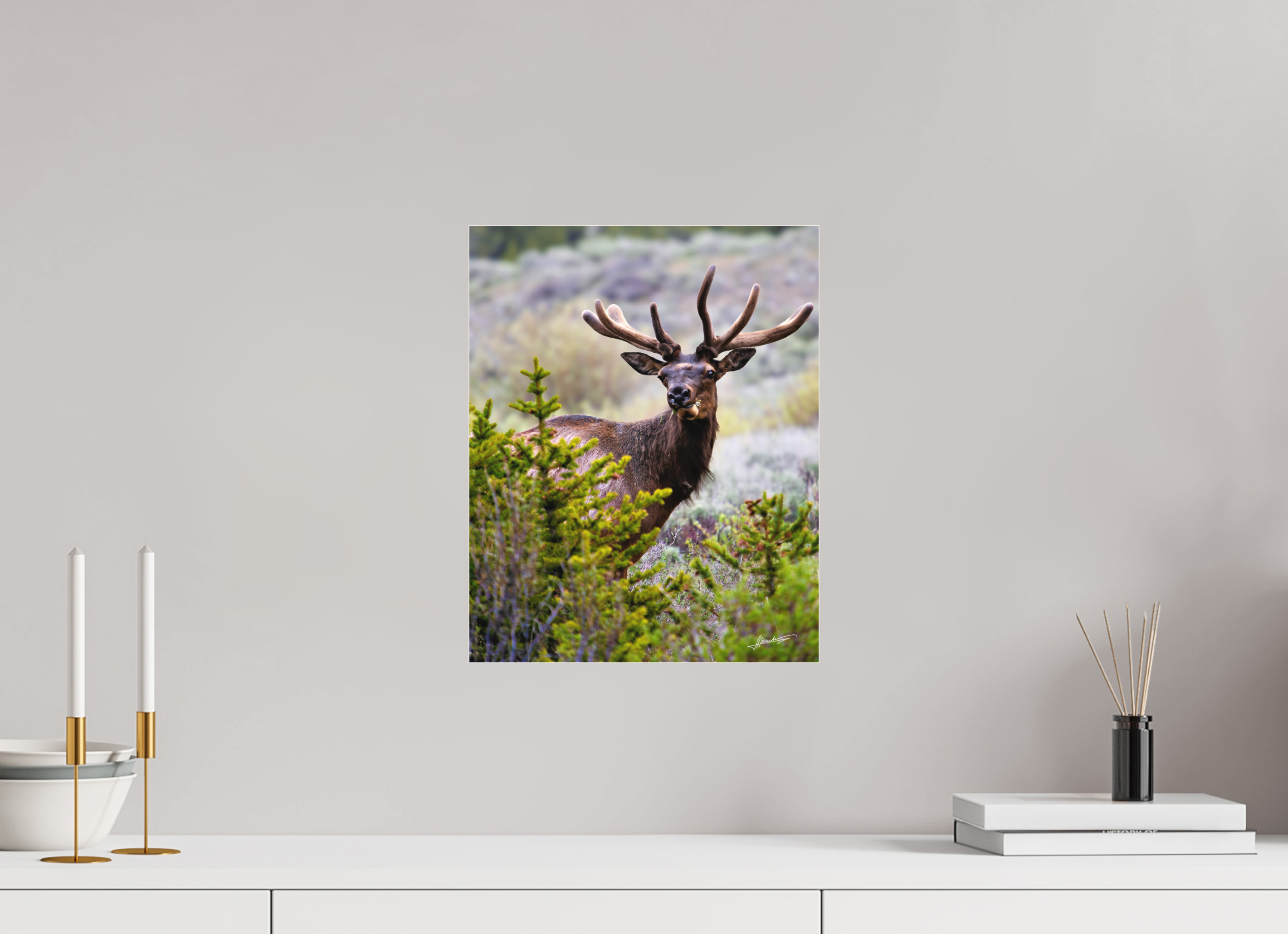 12 x 15″, Fine Pigment Under Acrylic Velvet Bull