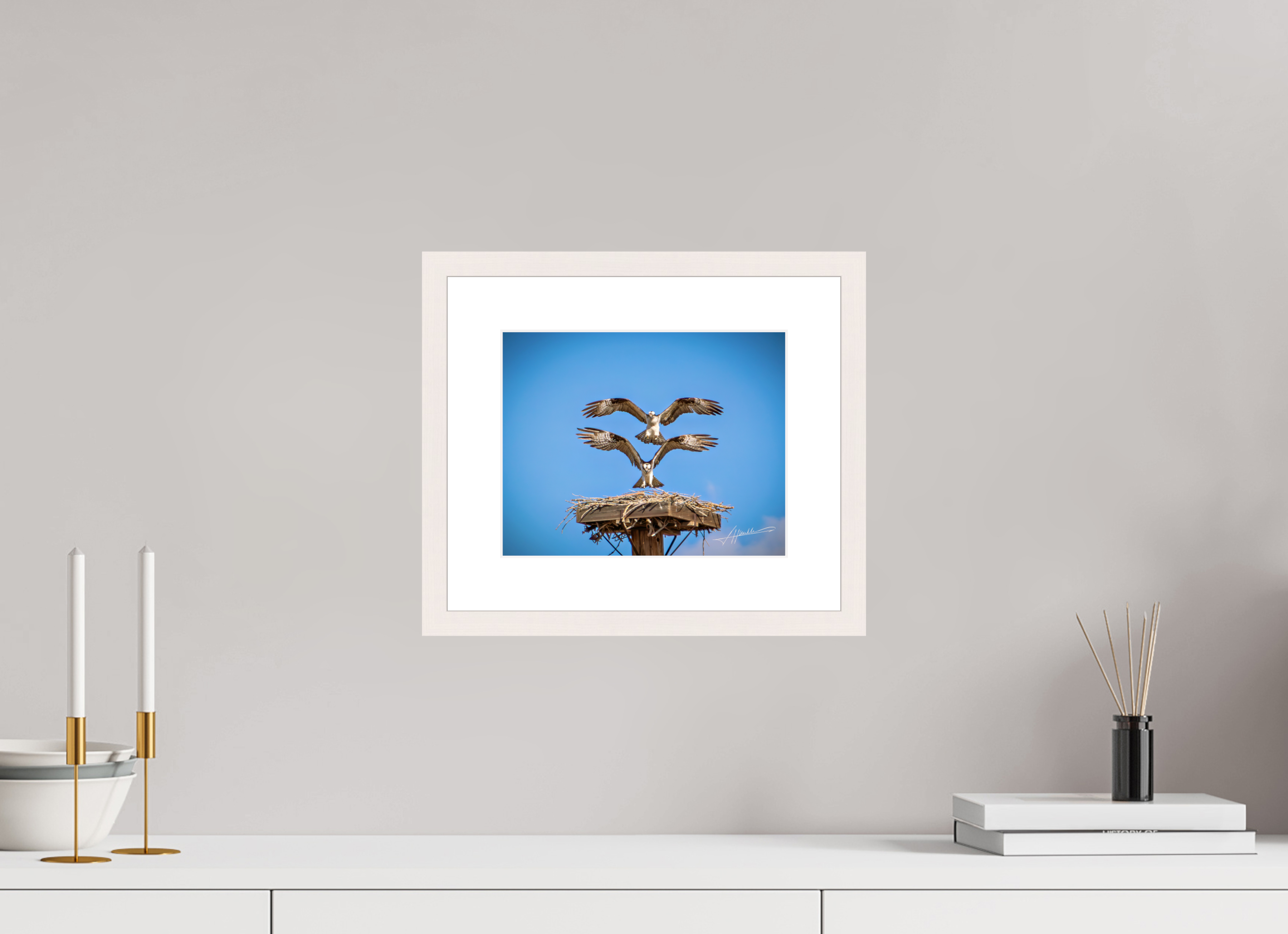 10 x 8″, Solid Wood Frame with Passe-partout Two Osprey Landing