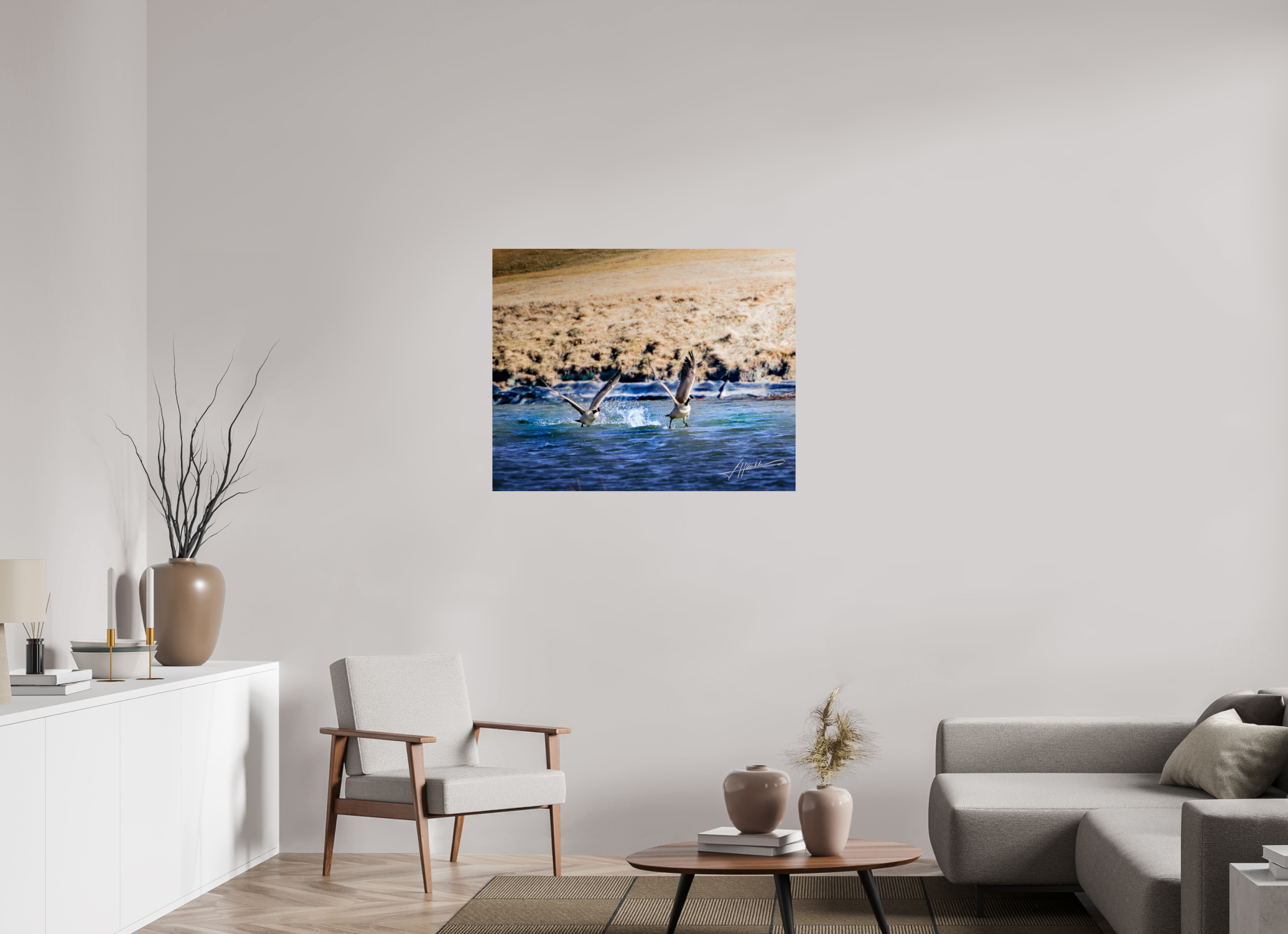38.7 x 31″, Photo Print On Fuji Crystal DP II Geese Taking Flight
