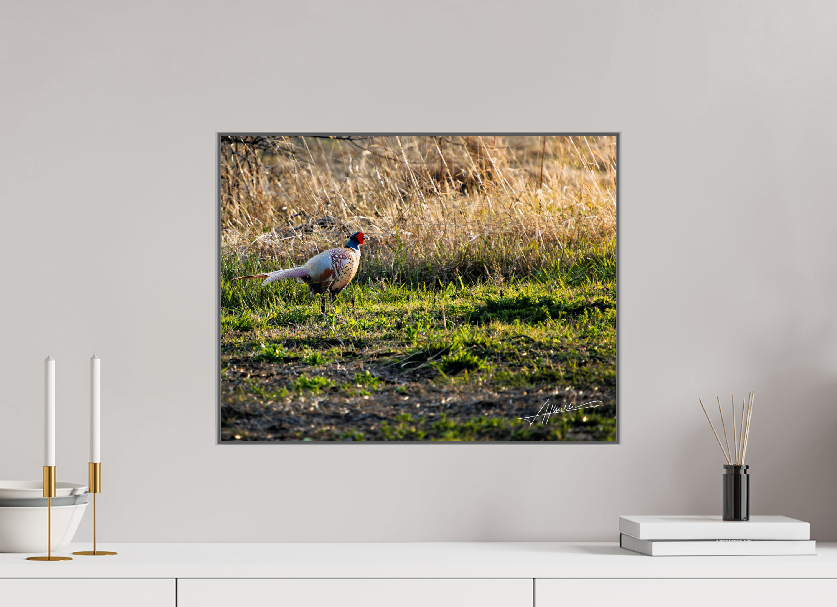 20.7 x 16″, Aluminum ArtBox Evening Pheasant