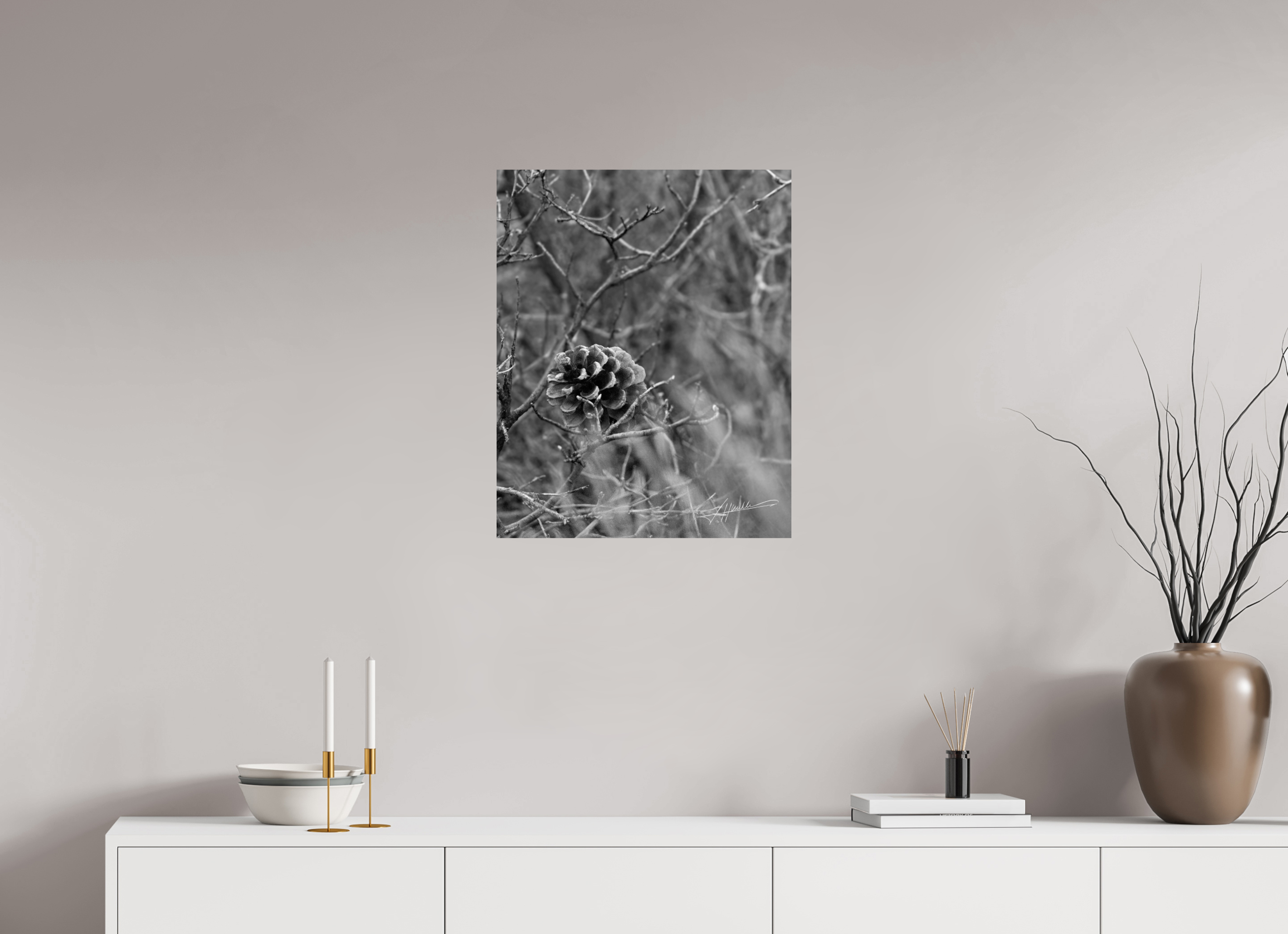 20 x 25″, Photo Print On Ilford Baryta Paper Mountain Pinecone
