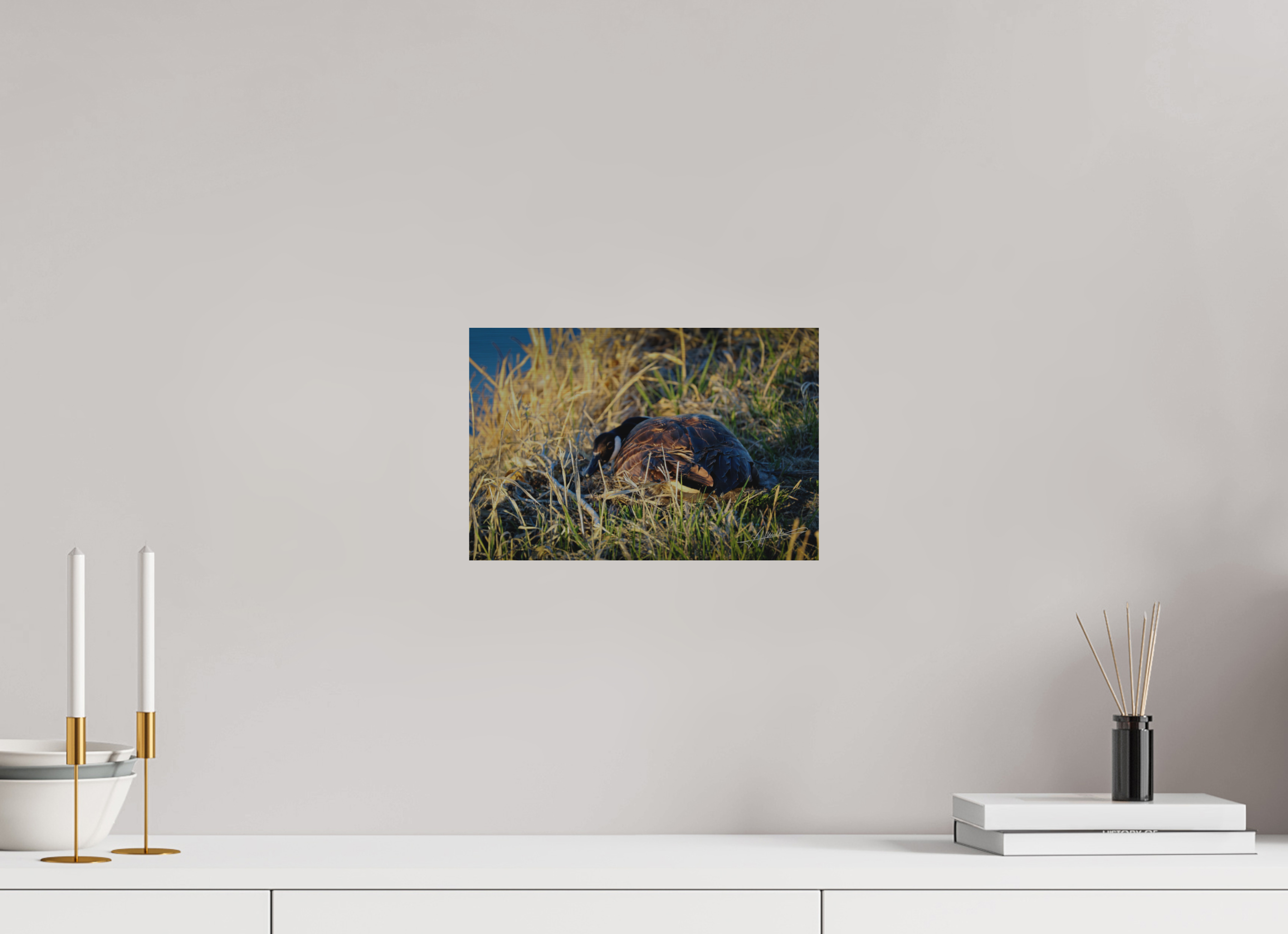 12 x 8″, Direct Brushed Aluminum New Nester