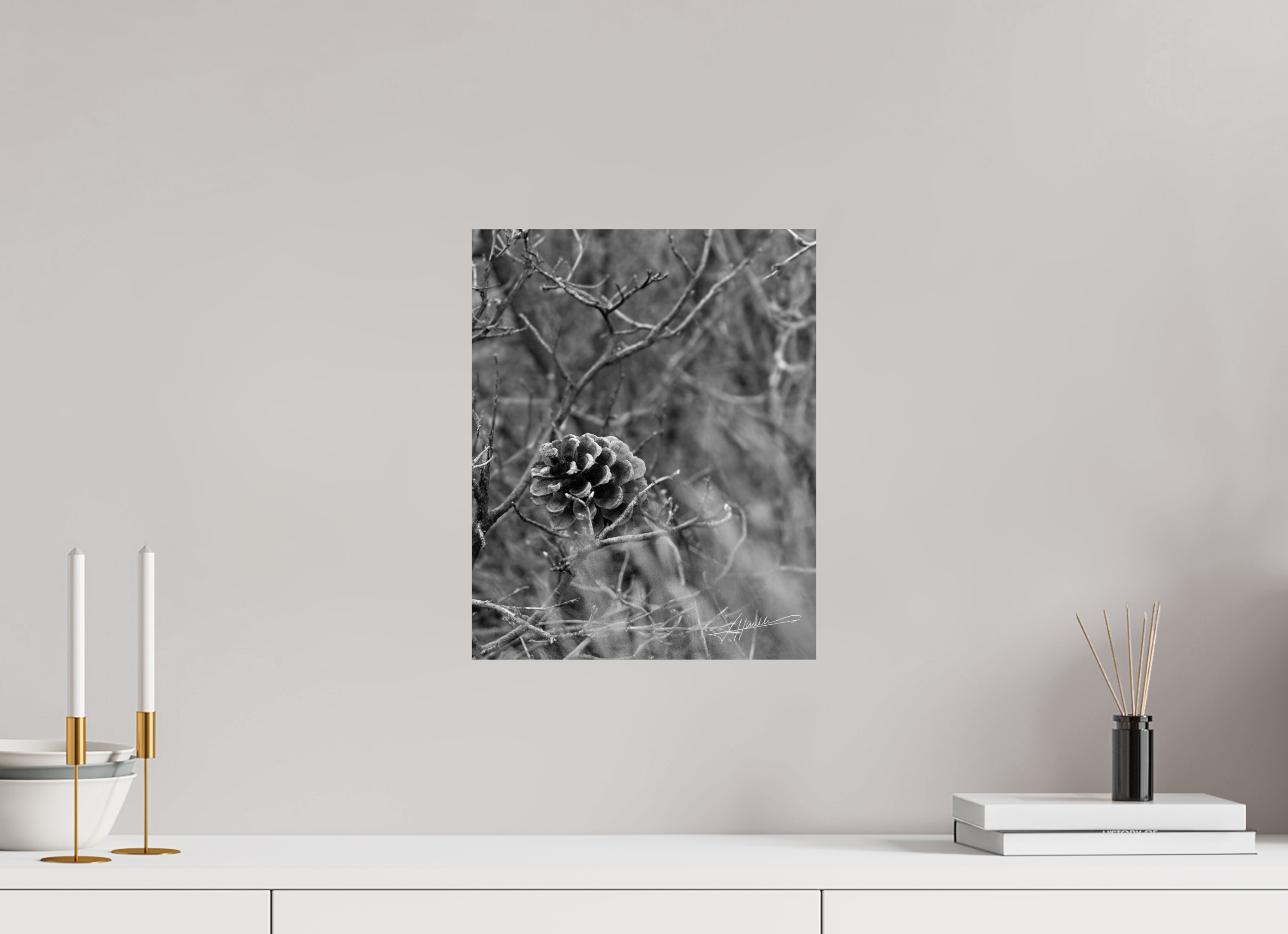 12 x 15″, Photo Print On Ilford Baryta Paper Mountain Pinecone