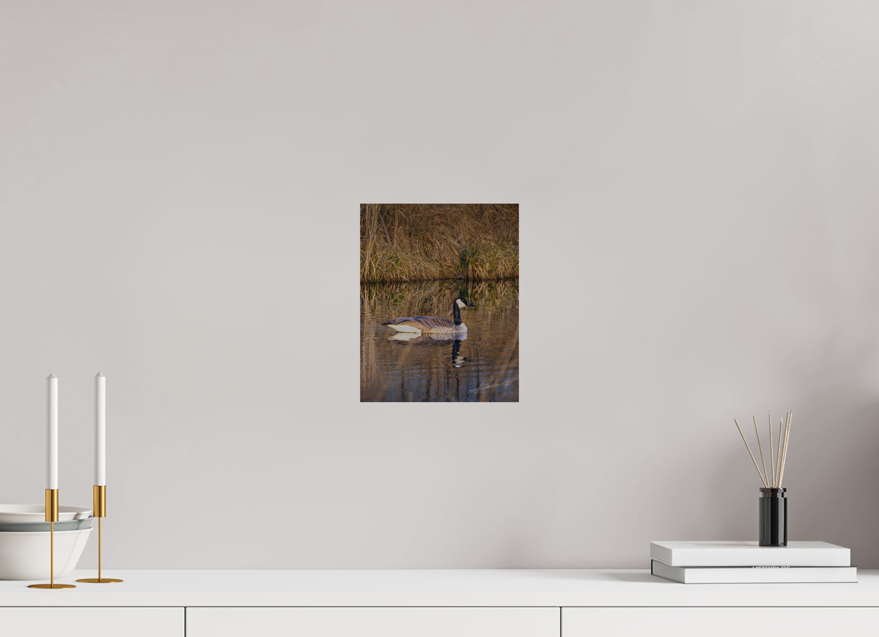 8 x 10″, Direct Brushed Aluminum A Swimming Reflection