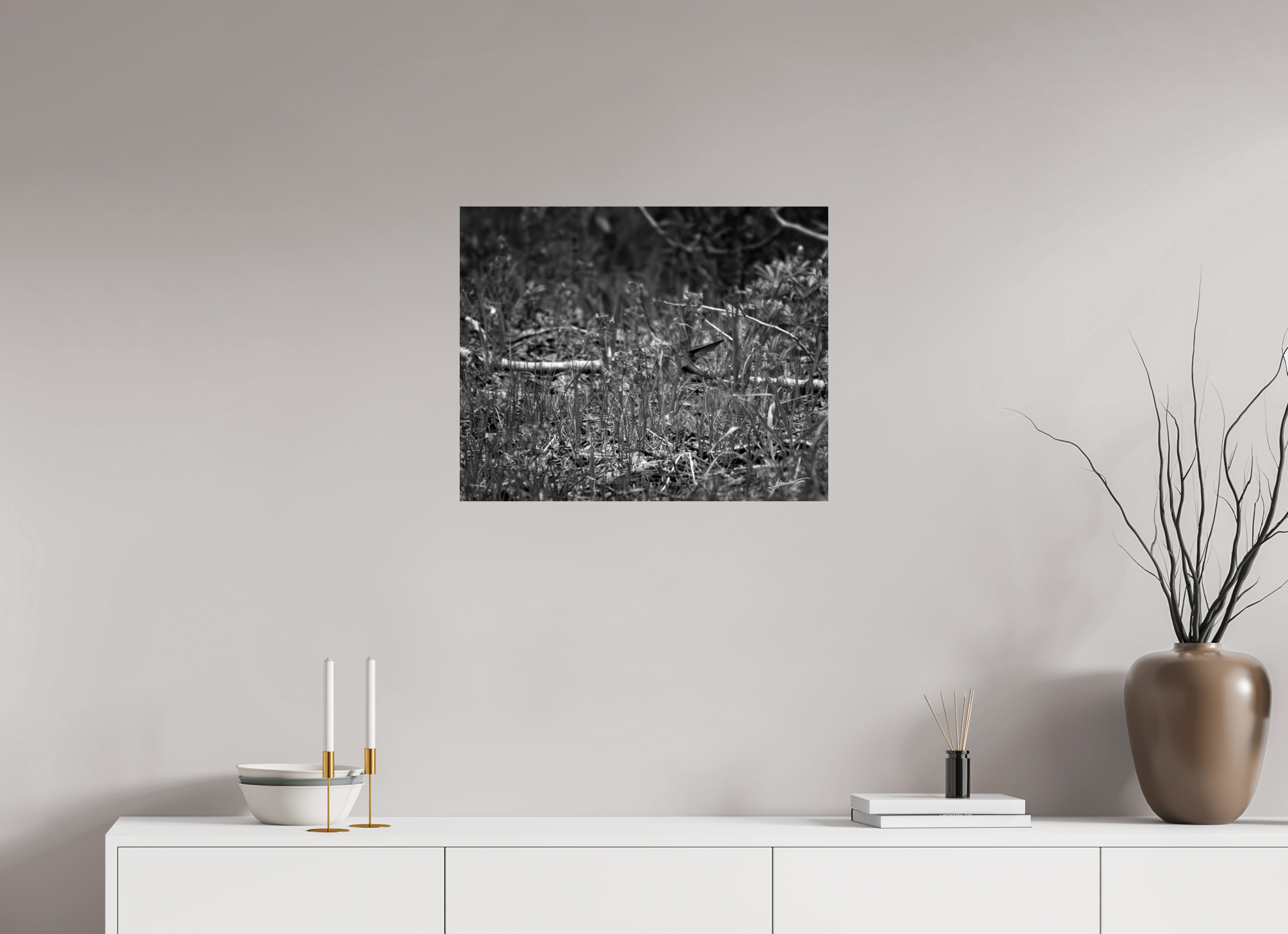 25 x 20″, Photo Print On Ilford Baryta Paper Feeding Hummingbird