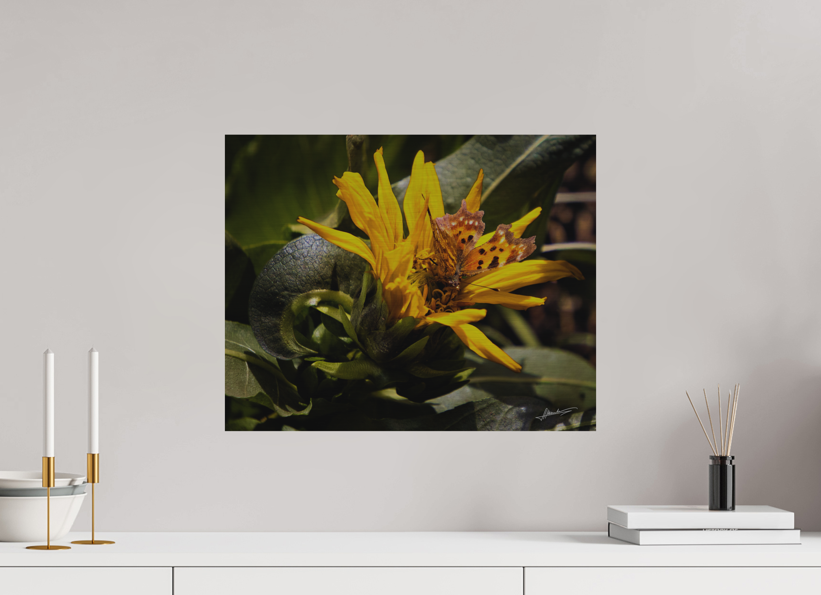 20 x 16″, Direct Brushed Aluminum Busy Butterfly