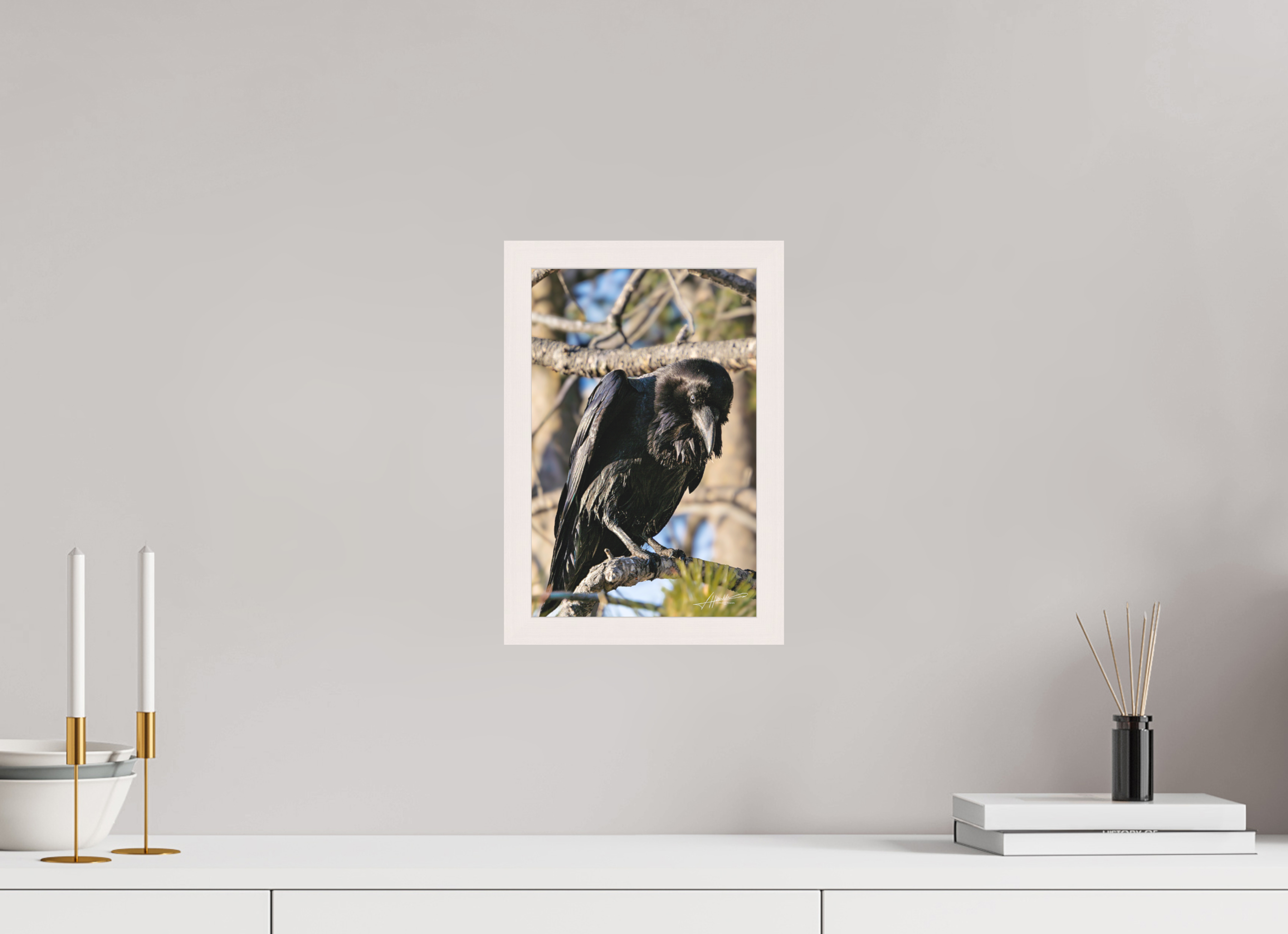 8 x 12″, Shadow Box Frame Morning Raven