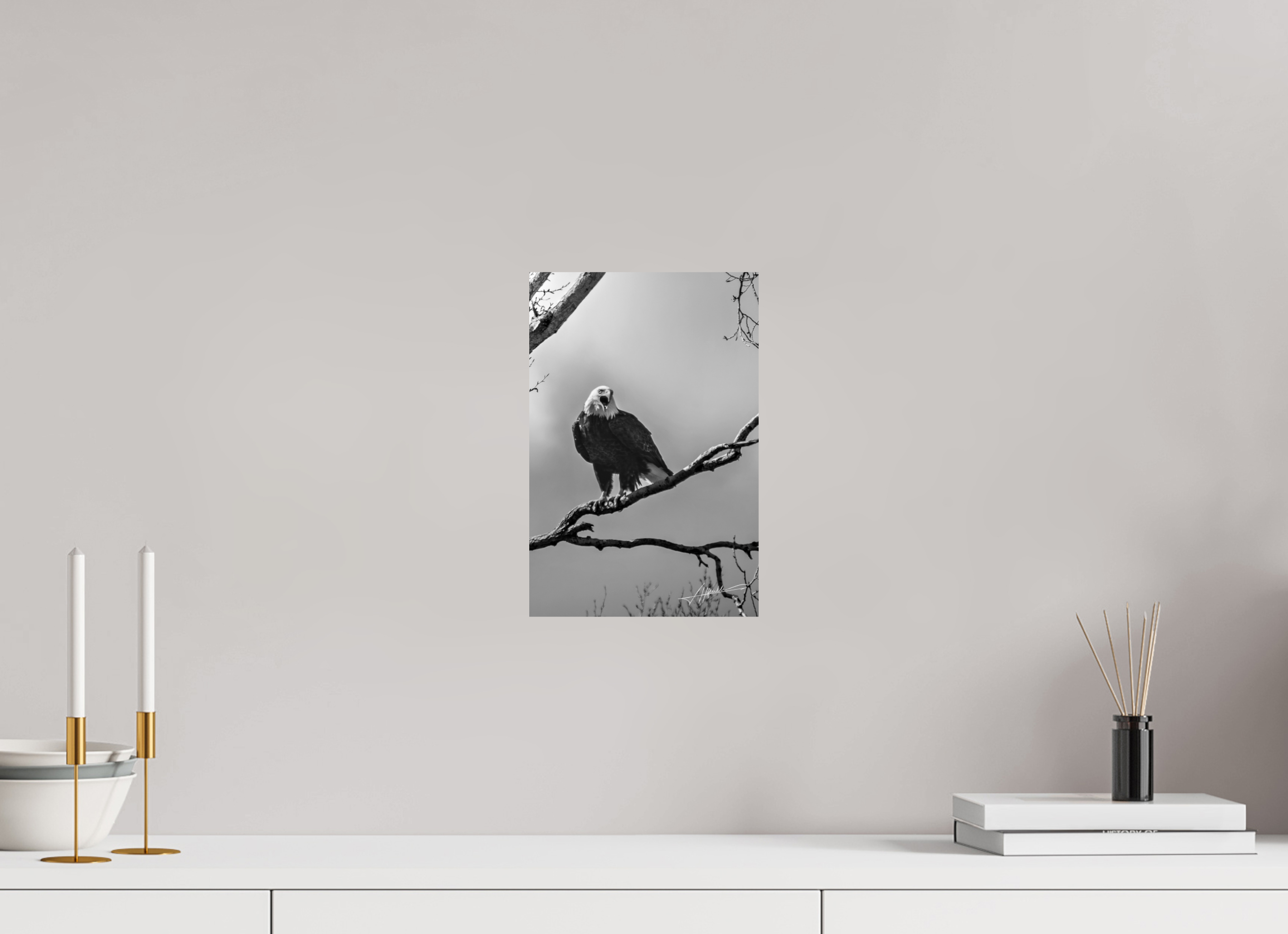 8 x 12″, Photo Print On Ilford Baryta Paper The Eagle's Call