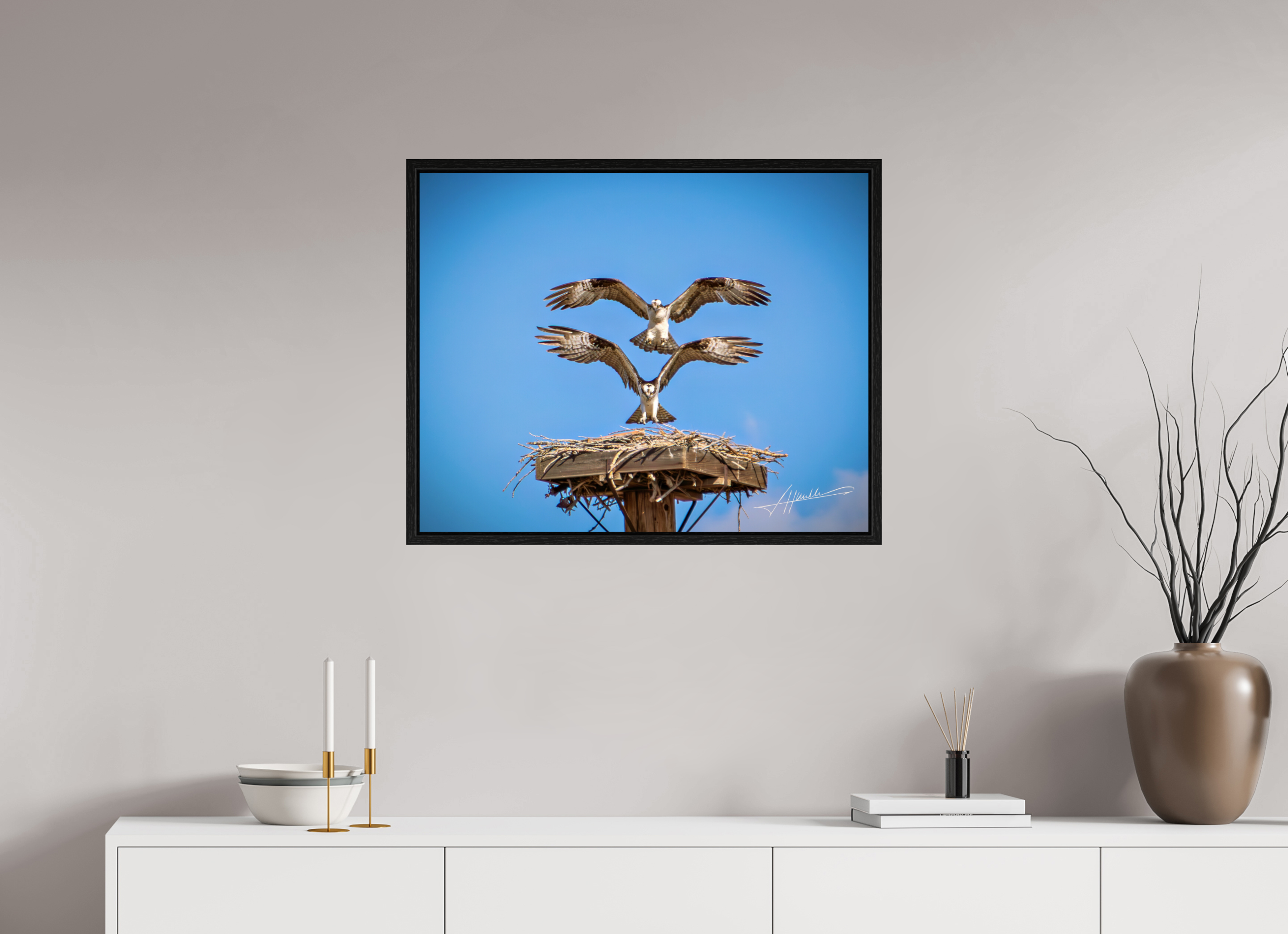 30 x 24″, Floater Frame Two Osprey Landing