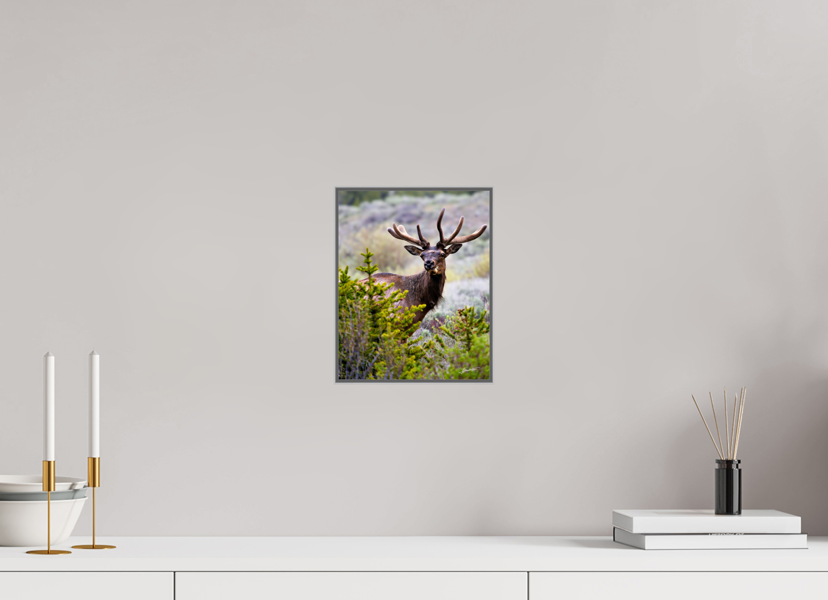 8 x 10″, Aluminum ArtBox Velvet Bull