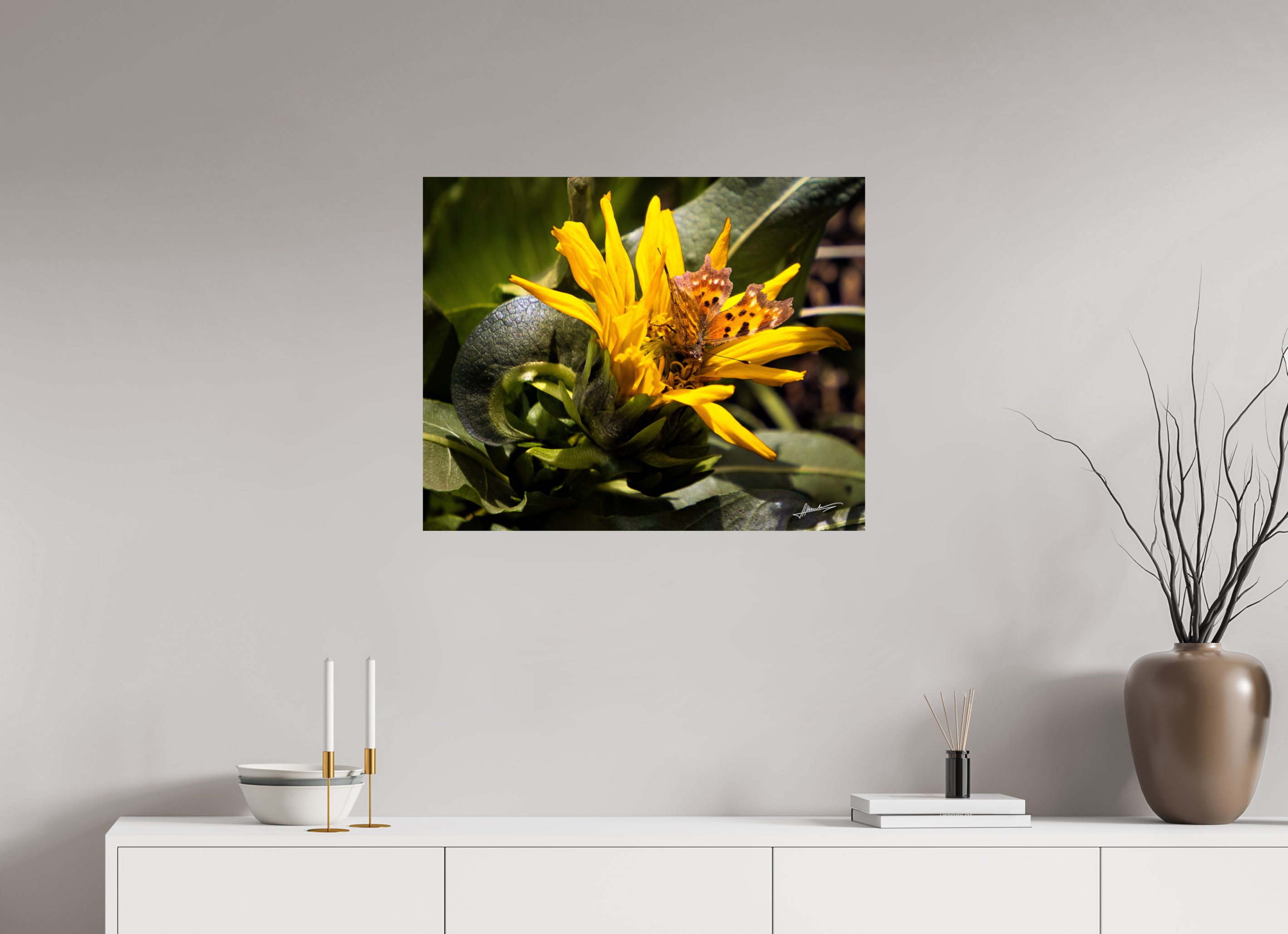 30 x 24″, Photo Print On Fuji Crystal DP II Busy Butterfly