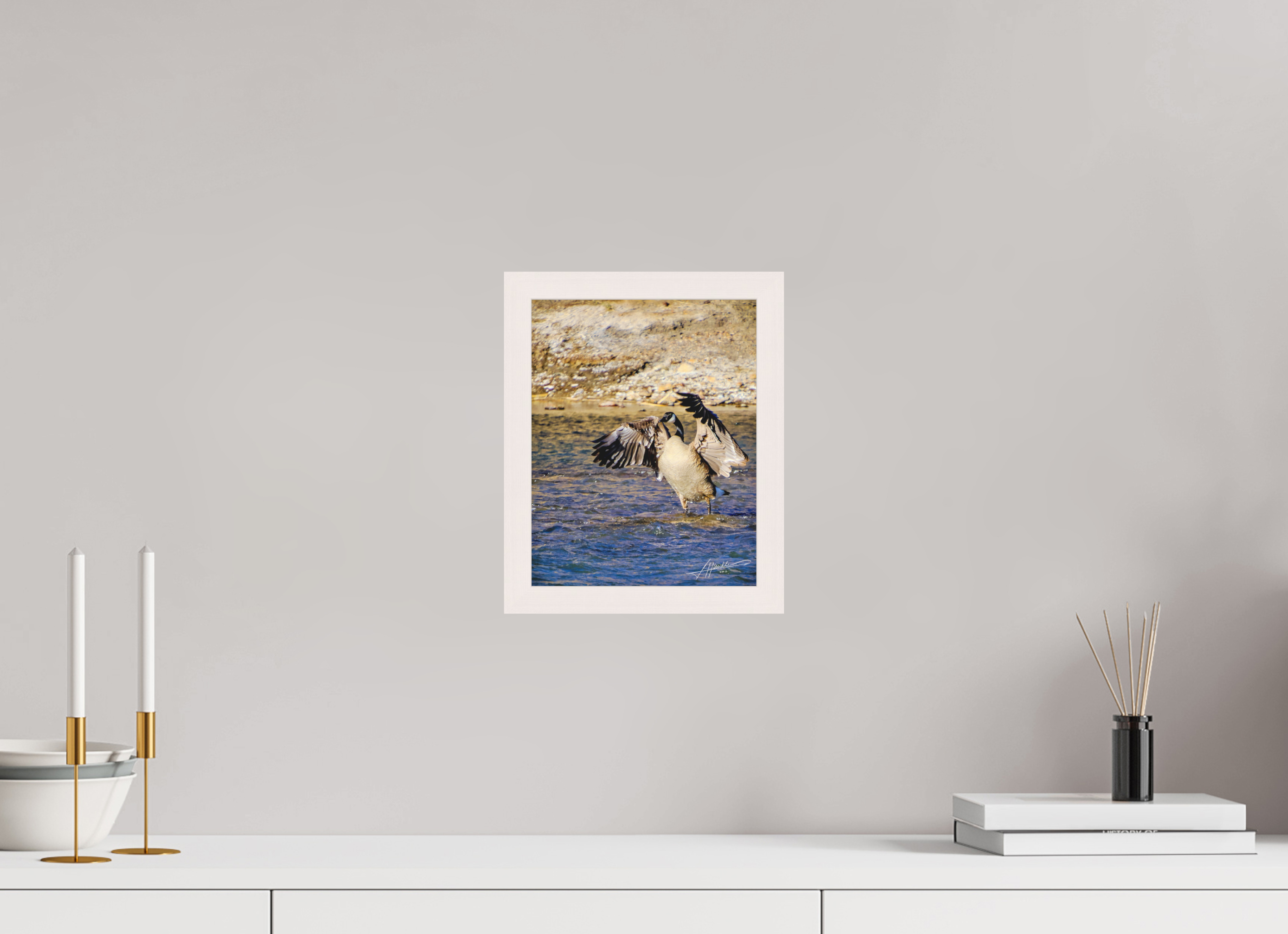 8 x 10″, Shadow Box Frame The Bathing Goose