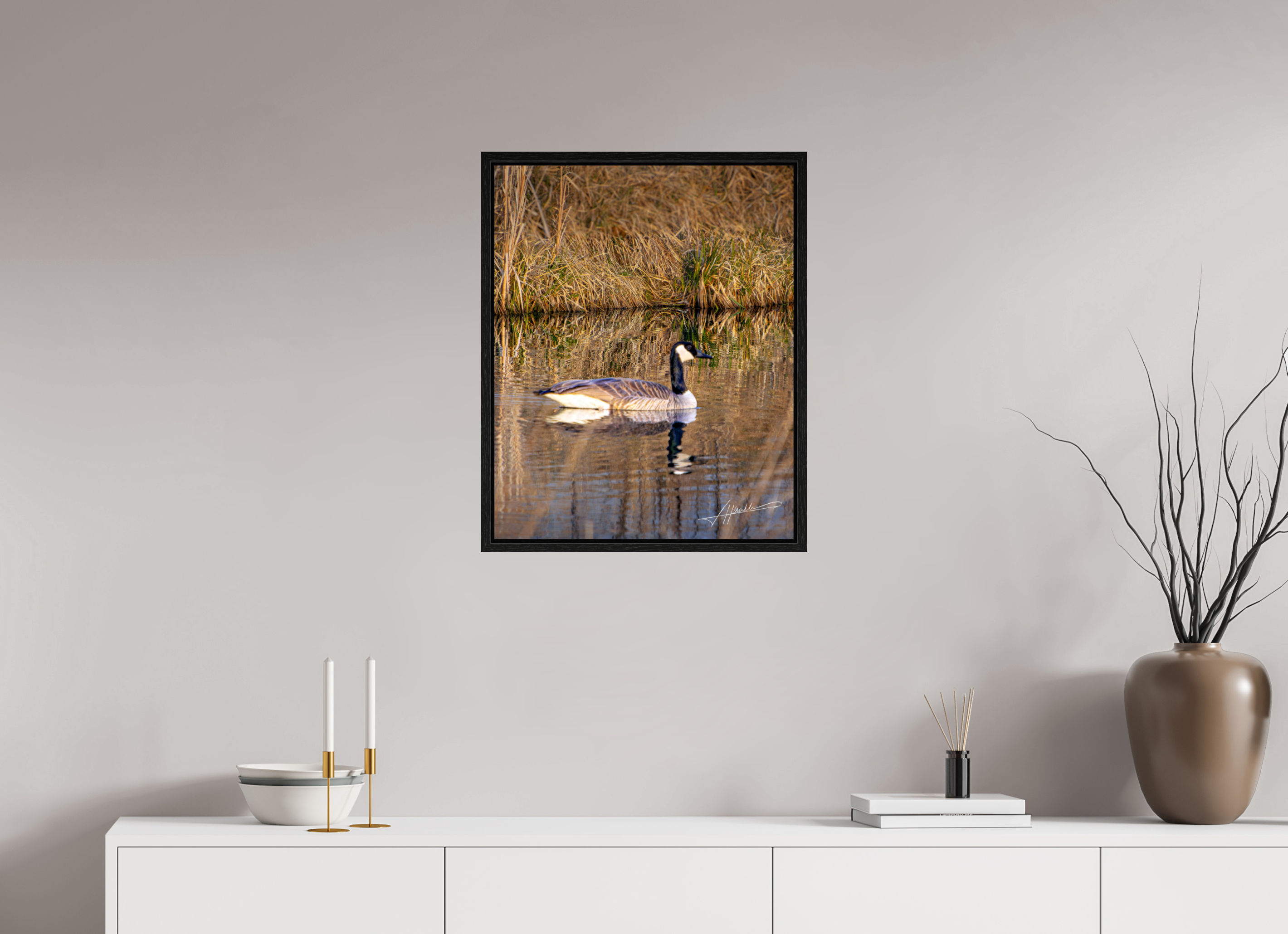 20 x 25″, Floater Frame A Swimming Reflection