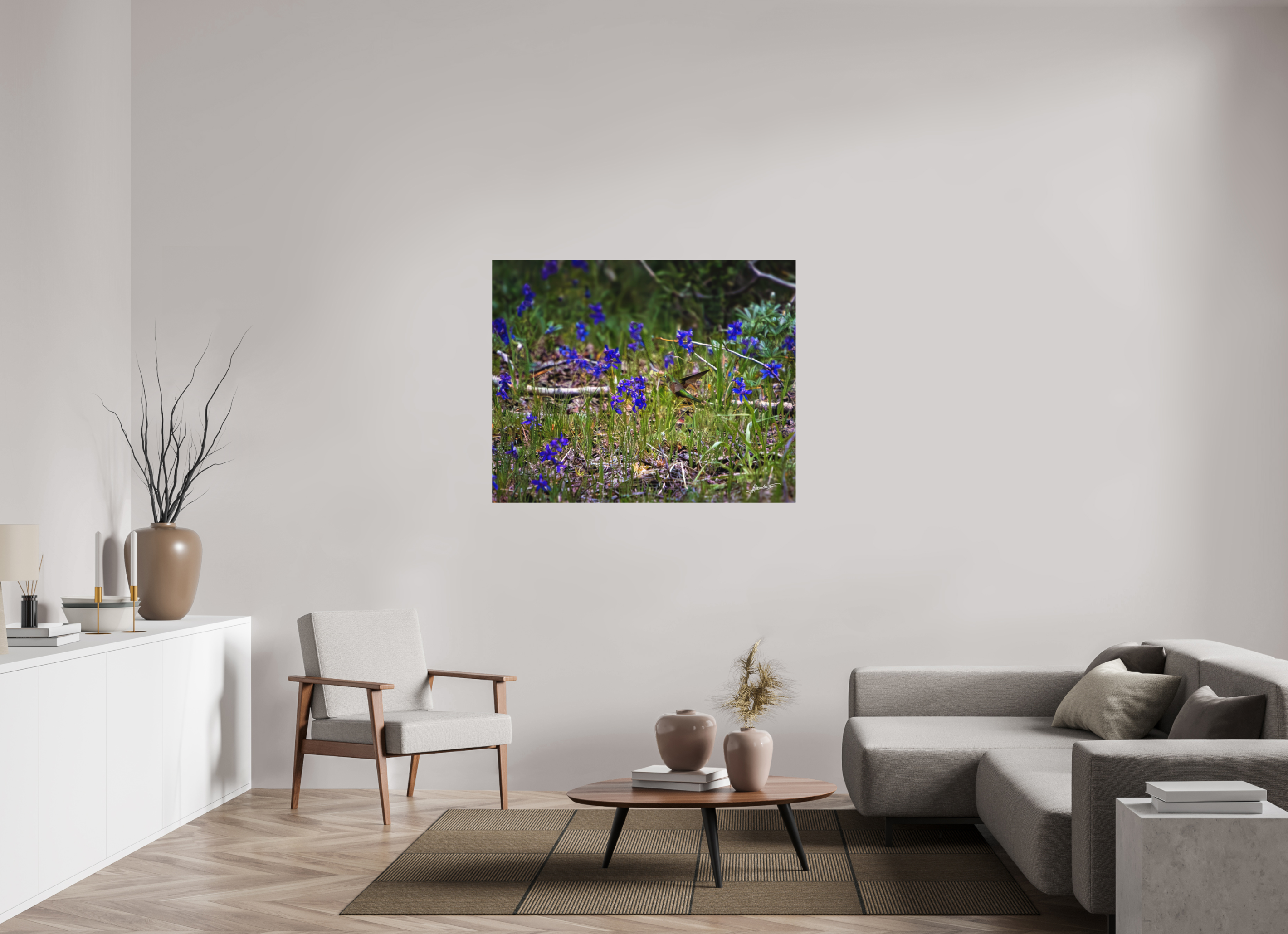 48.7 x 39″, Metal Dibond Feeding Hummingbird