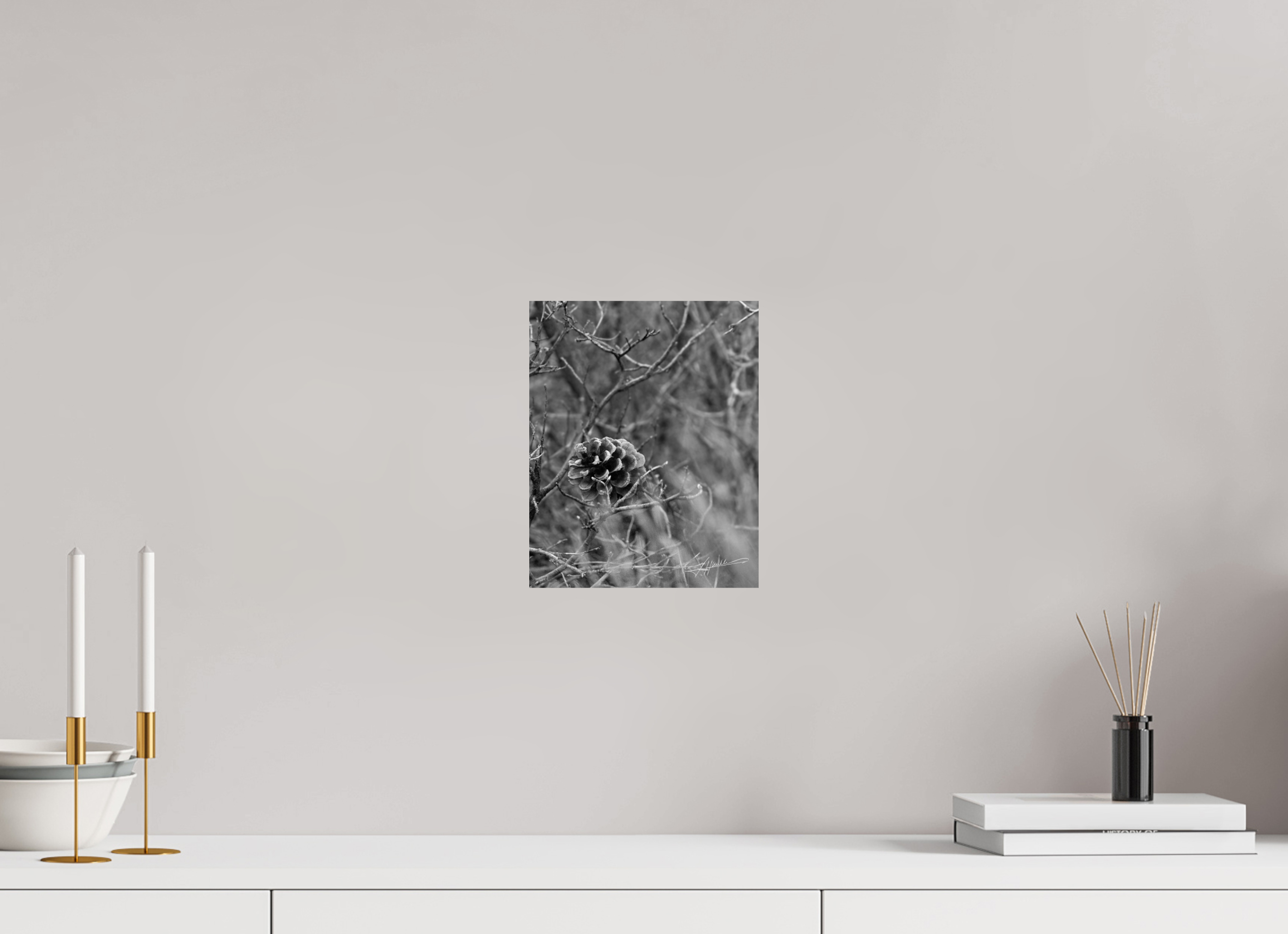 8 x 10″, Photo Print On Ilford Baryta Paper Mountain Pinecone