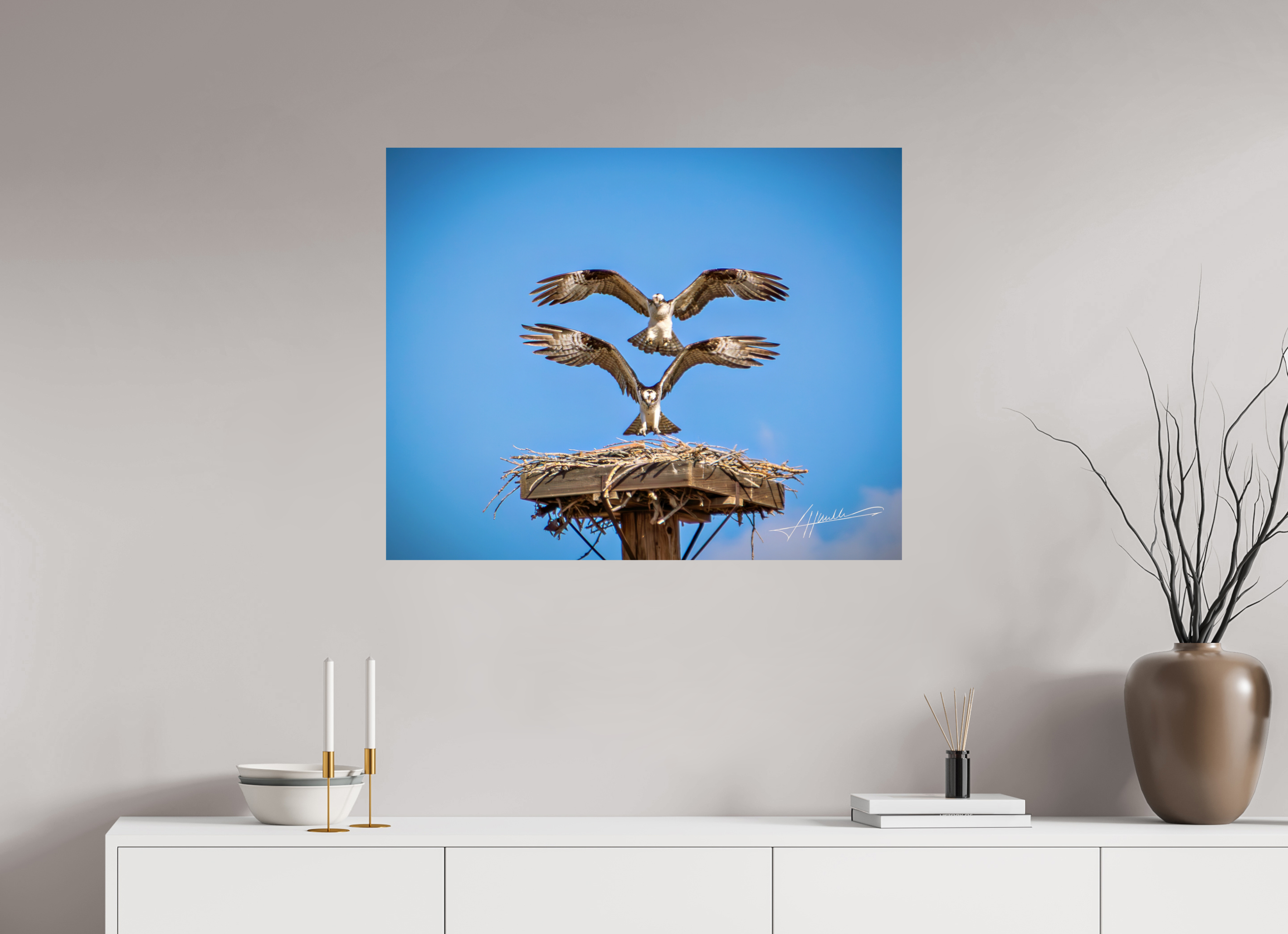 35 x 28″, Photo Print On Fuji Crystal DP II Two Osprey Landing