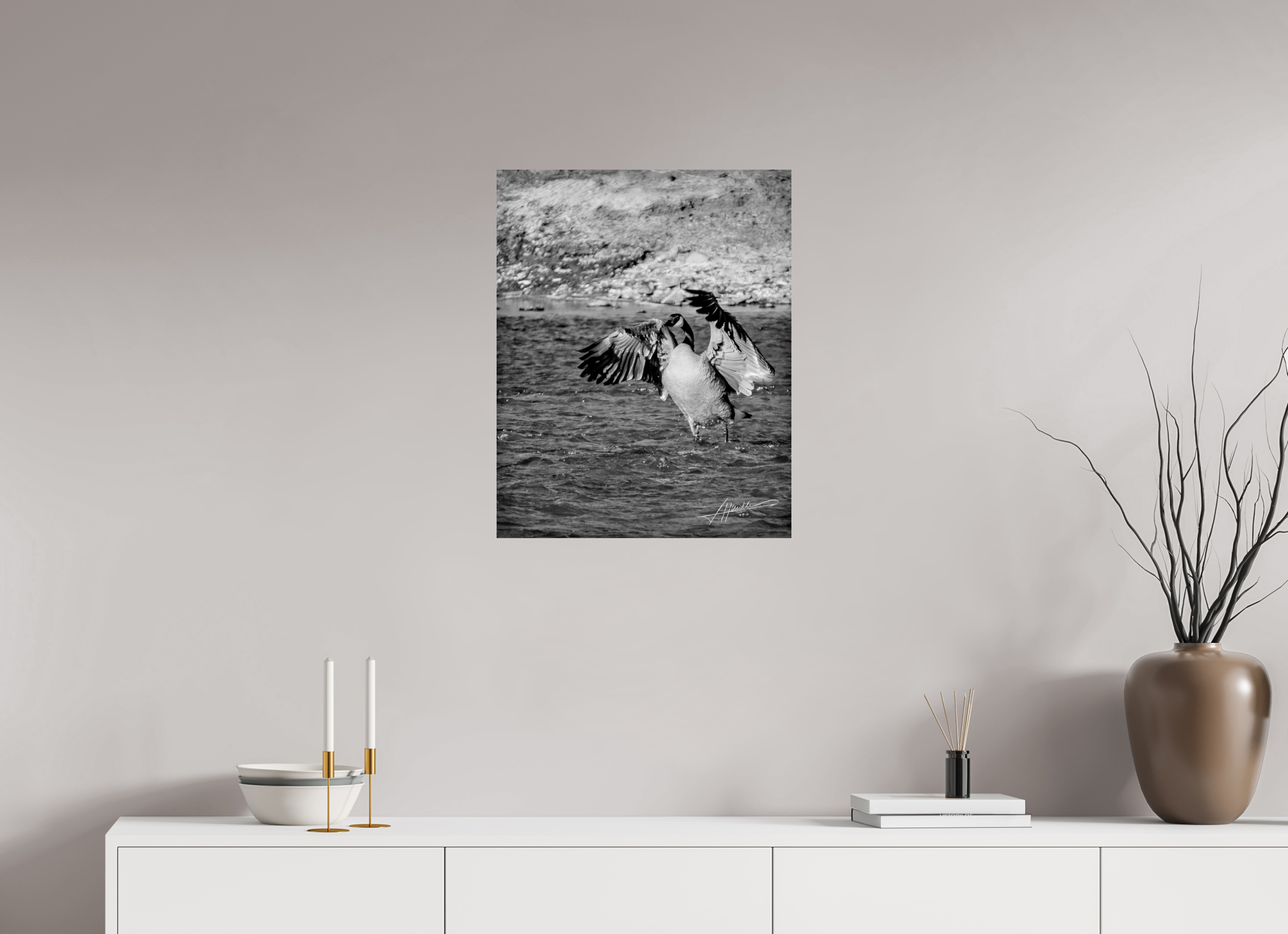 20 x 25″, Photo Print On Ilford Baryta Paper The Bathing Goose