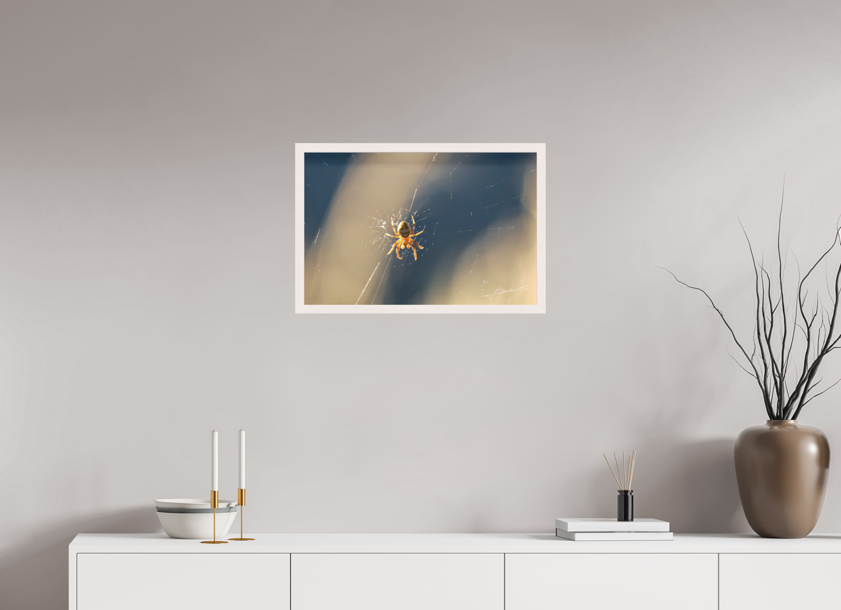 24 x 16″, Shadow Box Frame Tattered Web