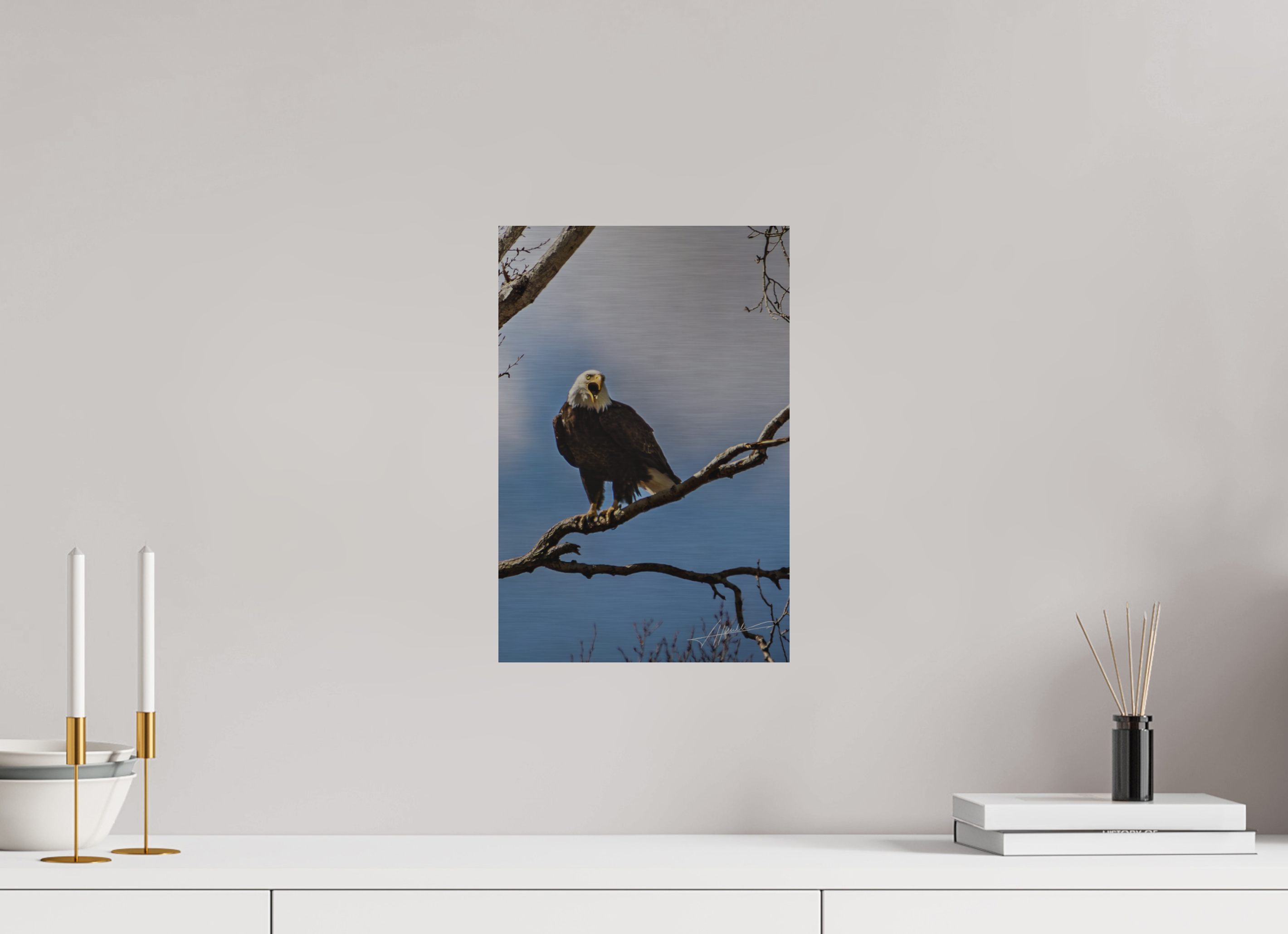 10 x 15″, Direct Brushed Aluminum The Eagle's Call