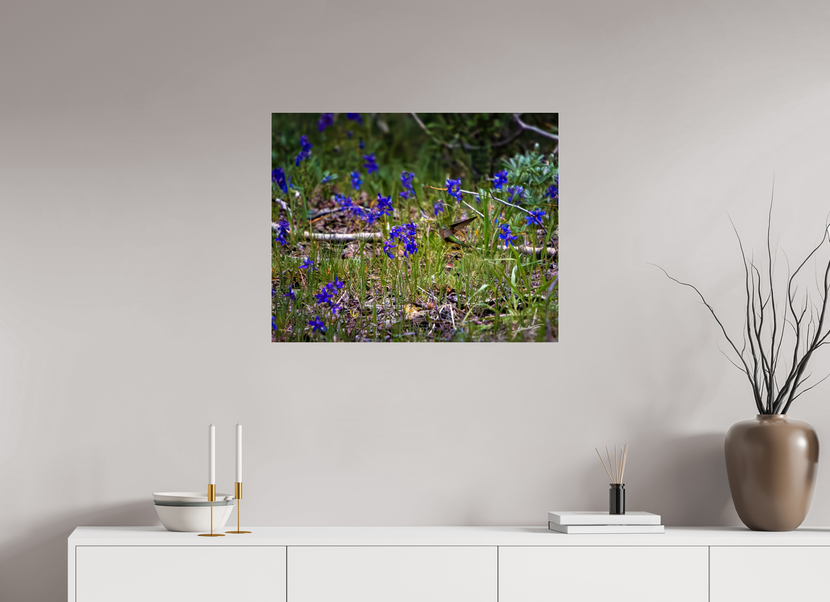 30 x 24″, Photo Print Under Acrylic Glass Feeding Hummingbird
