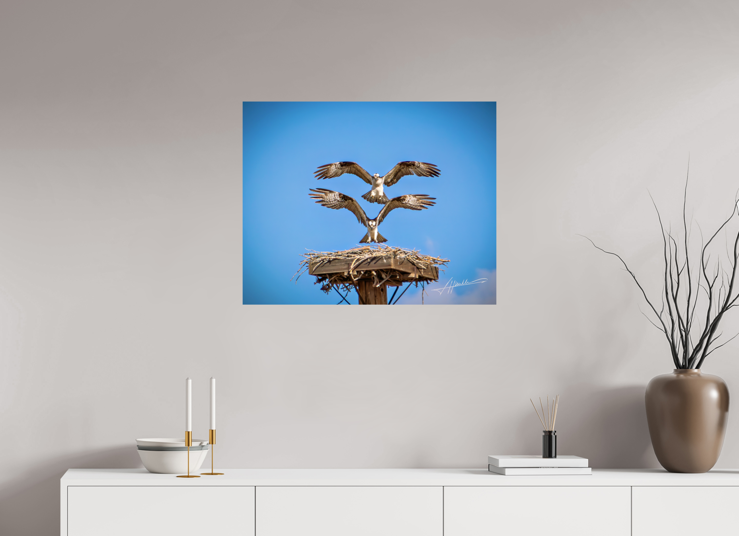 30 x 24″, Photo Print On Fujiflex High Gloss Two Osprey Landing