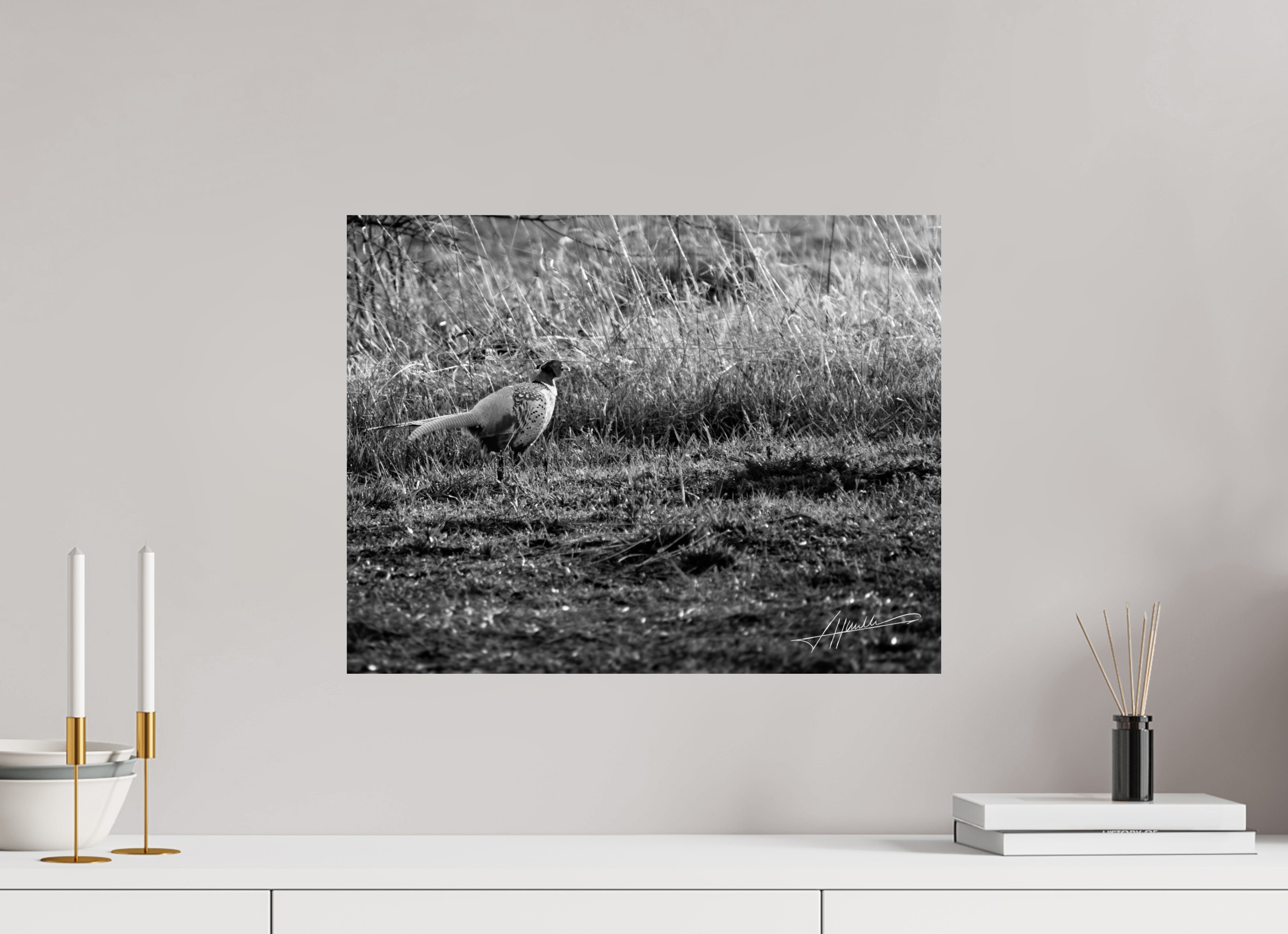 20.7 x 16″, Photo Print On Ilford Baryta Paper Evening Pheasant