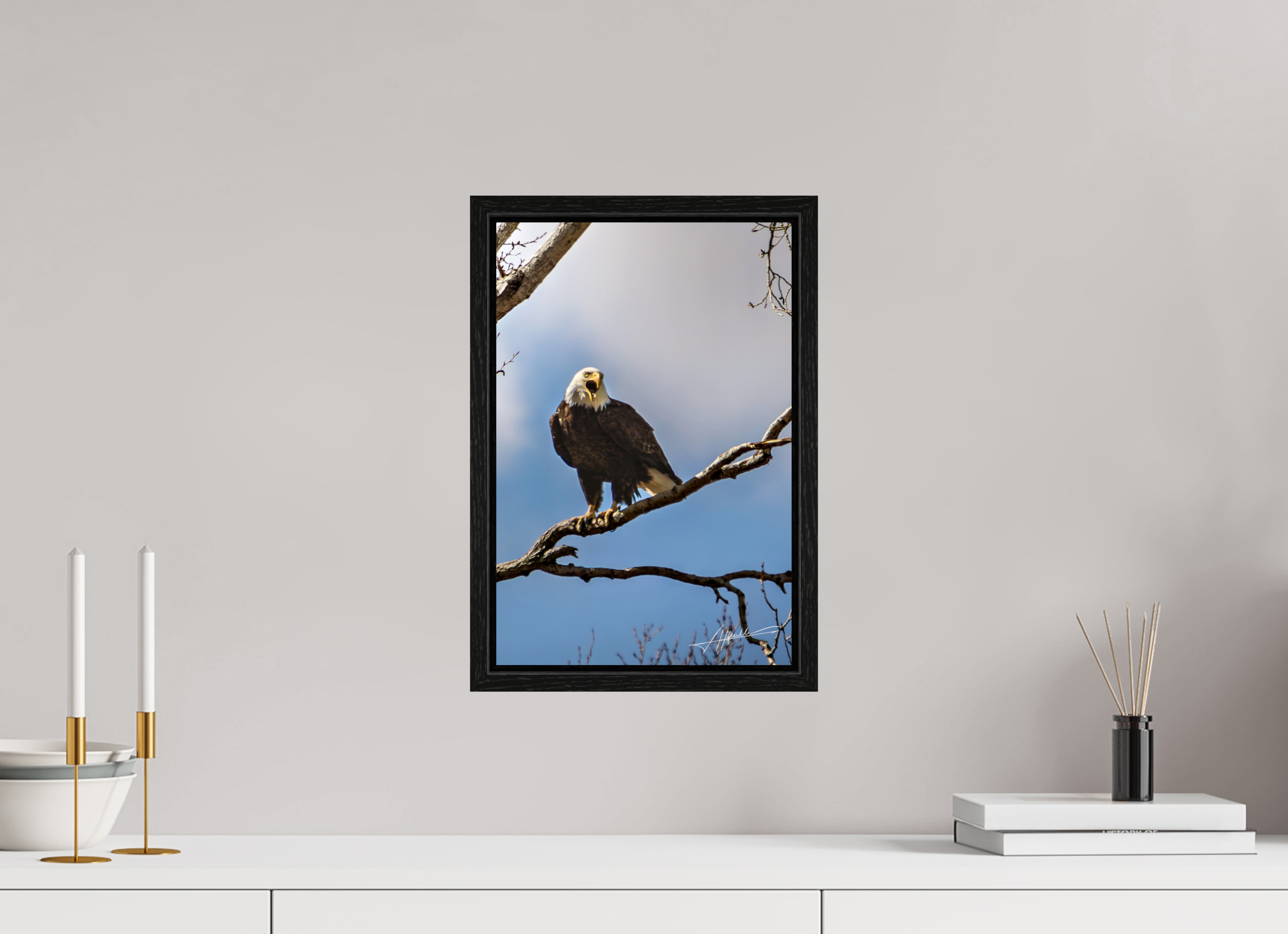 10 x 15″, Floater Frame The Eagle's Call