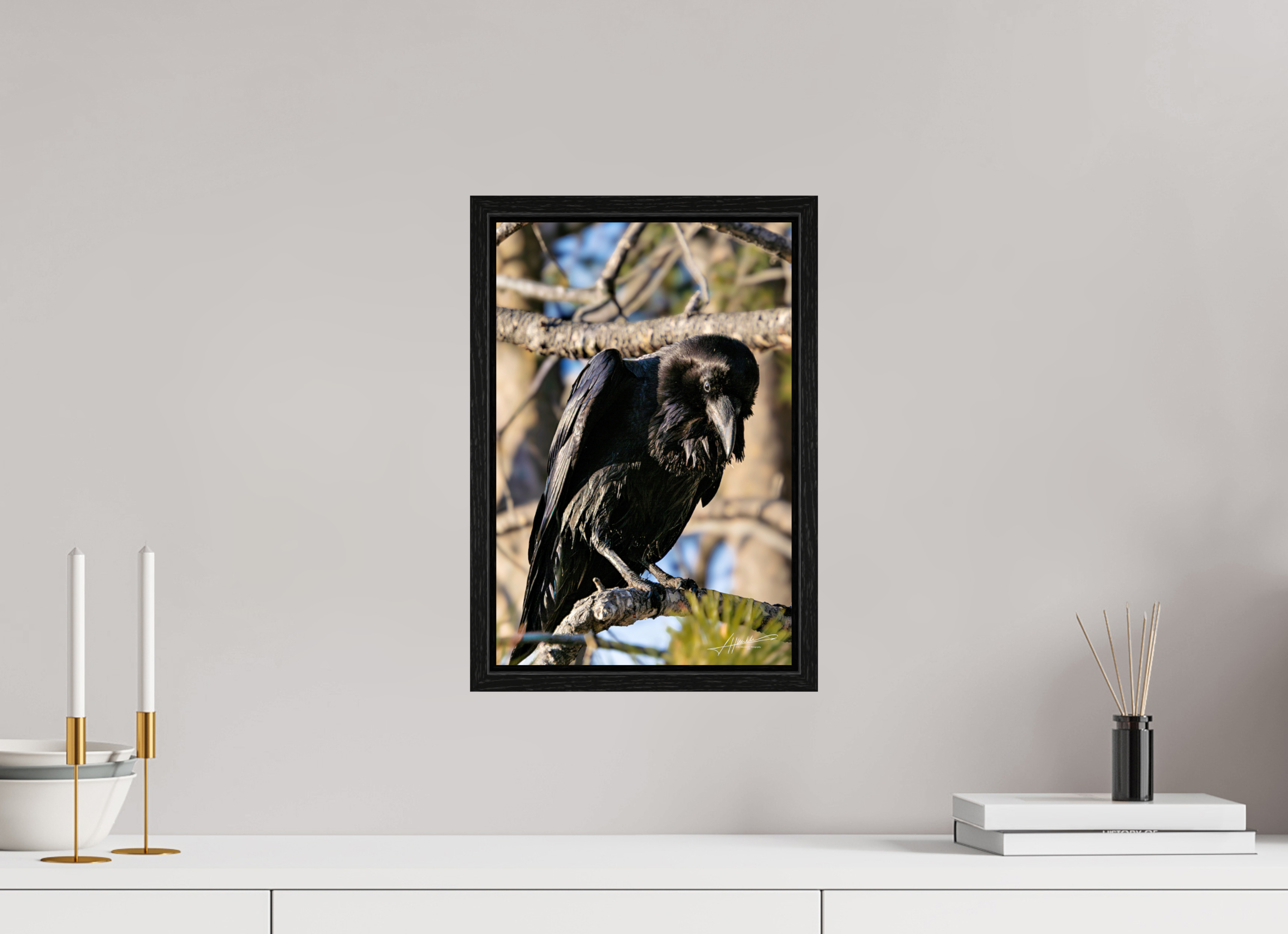 10 x 15″, Floater Frame Morning Raven