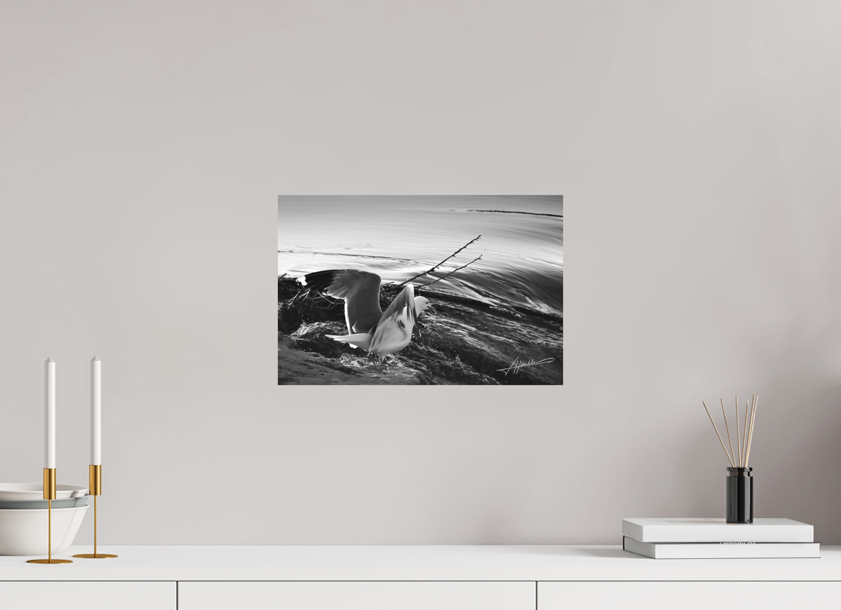 15 x 10″, Ilford Aluminum BW Seagull Takes Flight