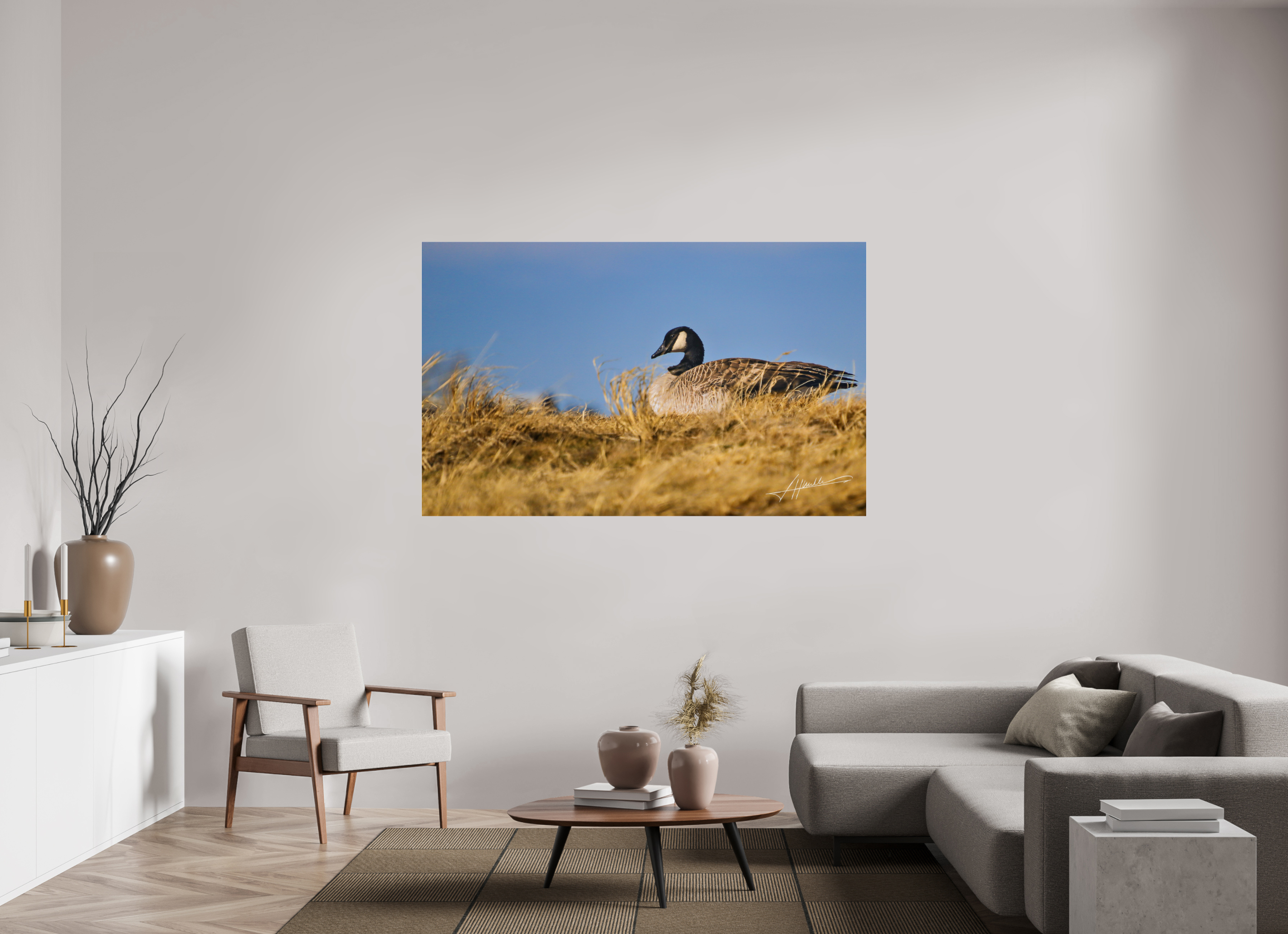 69.6 x 43″, Photo Print Under Acrylic Glass The Nesting Goose