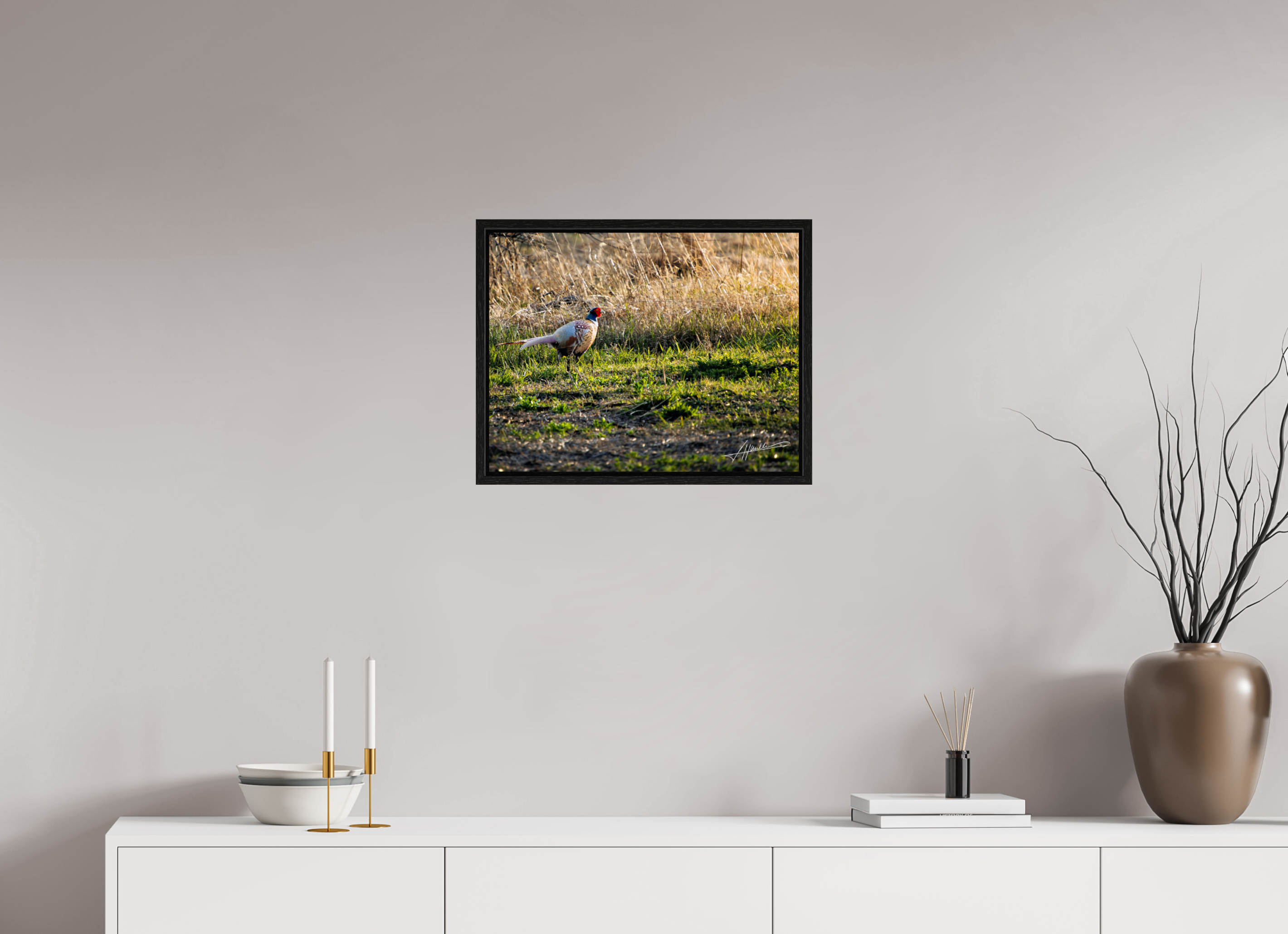 20.7 x 16″, Floater Frame Evening Pheasant