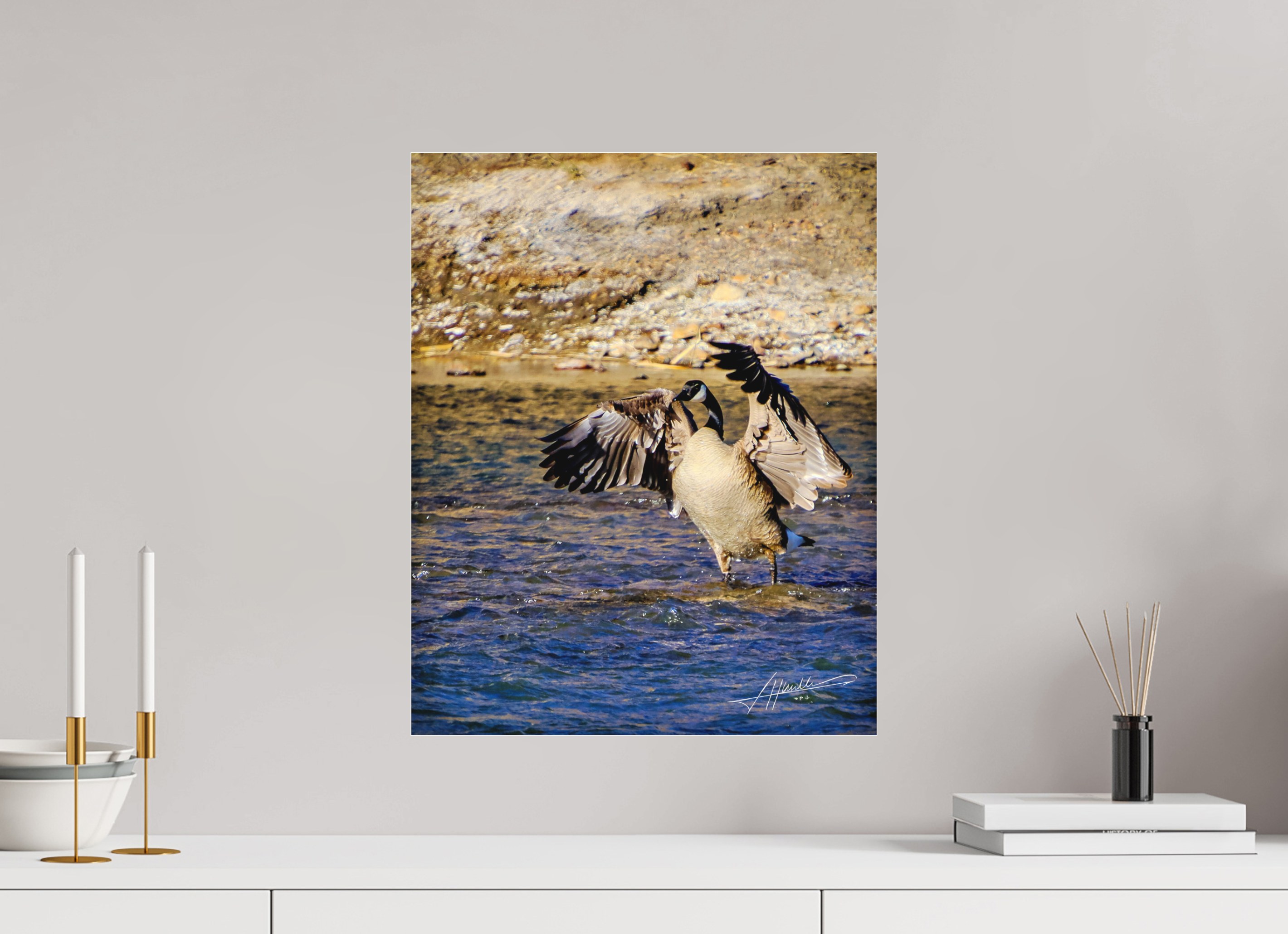 16 x 20″, Fine Pigment Under Acrylic The Bathing Goose