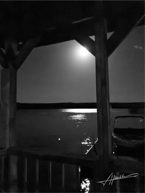Main image A Night on the Water