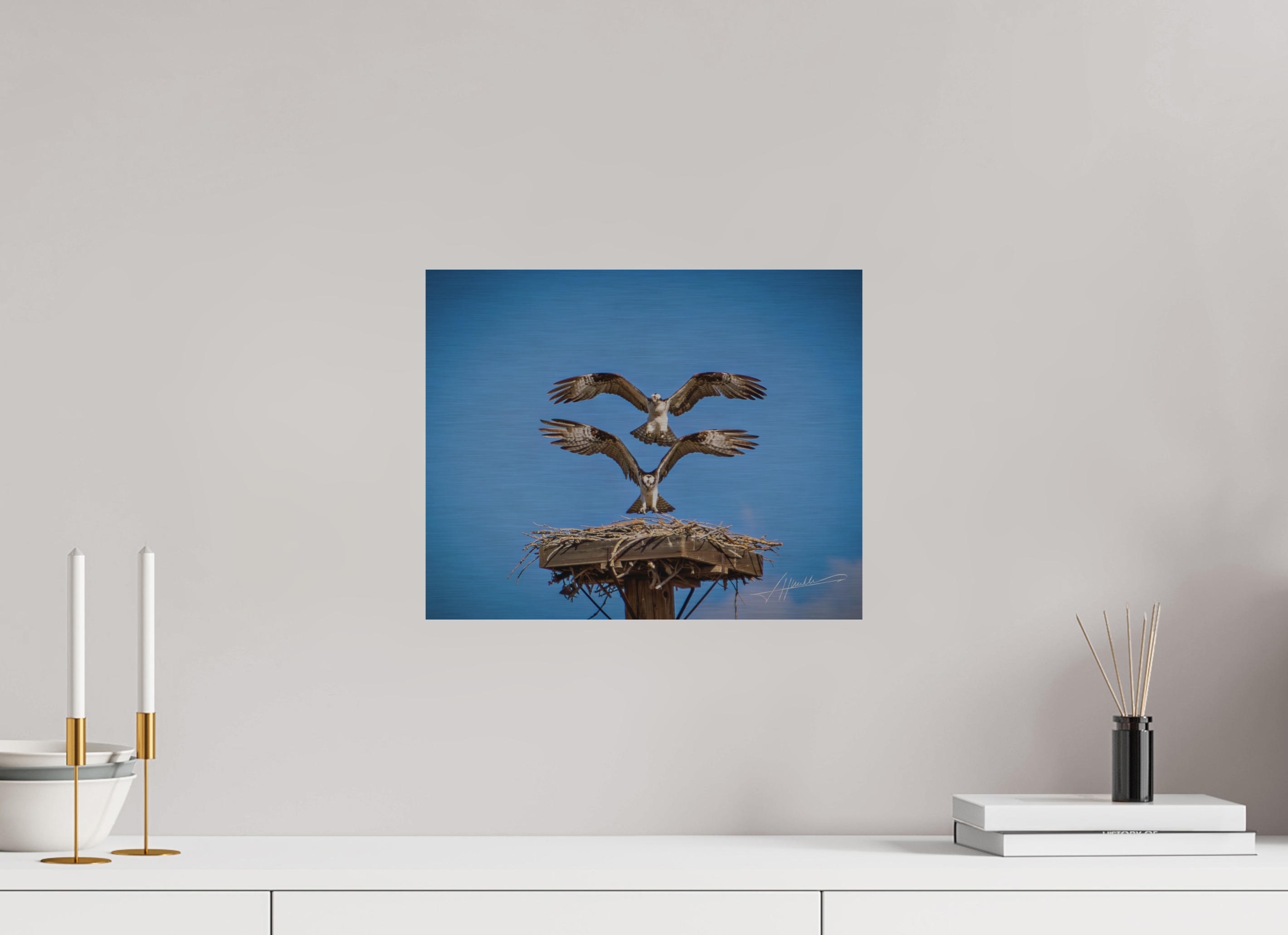 15 x 12″, Direct Brushed Aluminum Two Osprey Landing