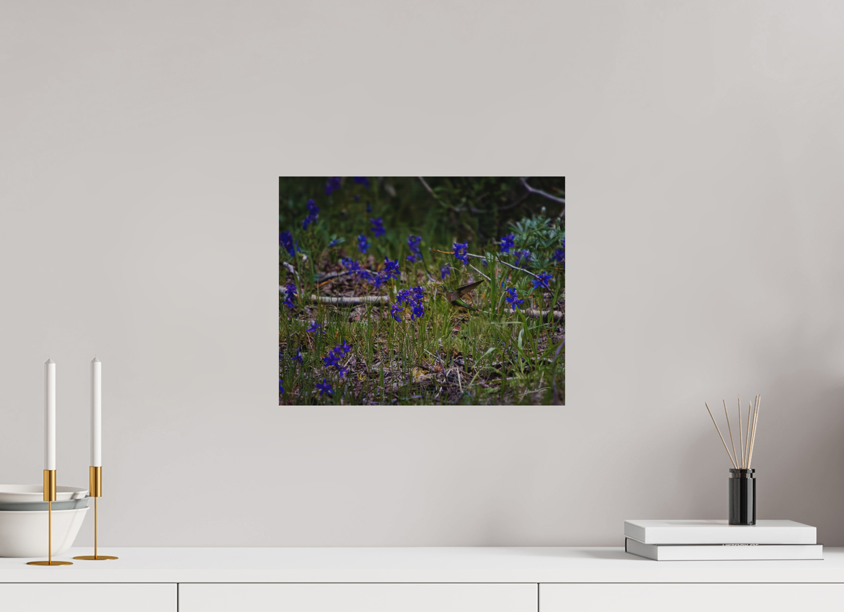 15 x 12″, Direct Brushed Aluminum Feeding Hummingbird