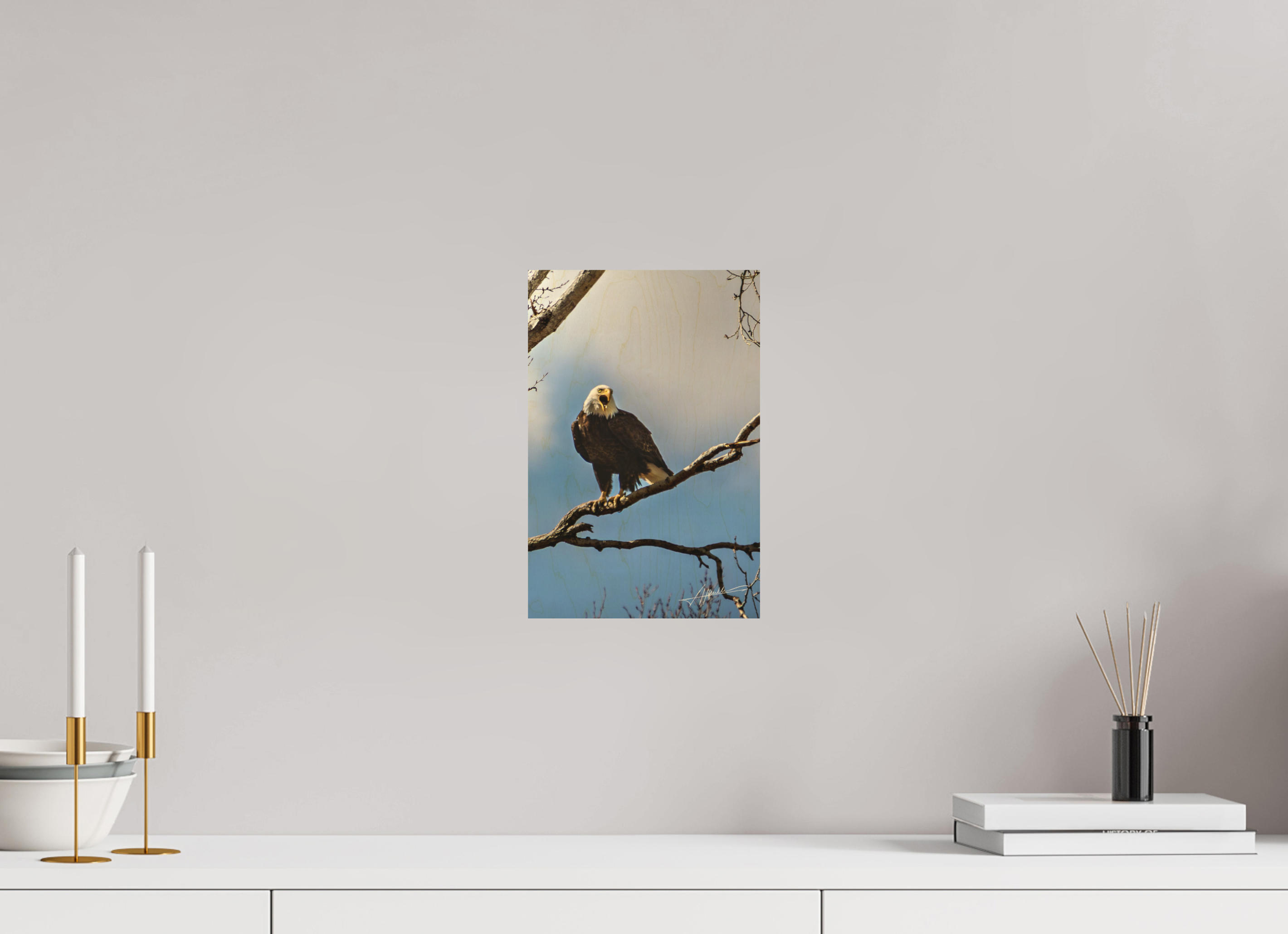8 x 12″, Direct Photo Print on Wood The Eagle's Call