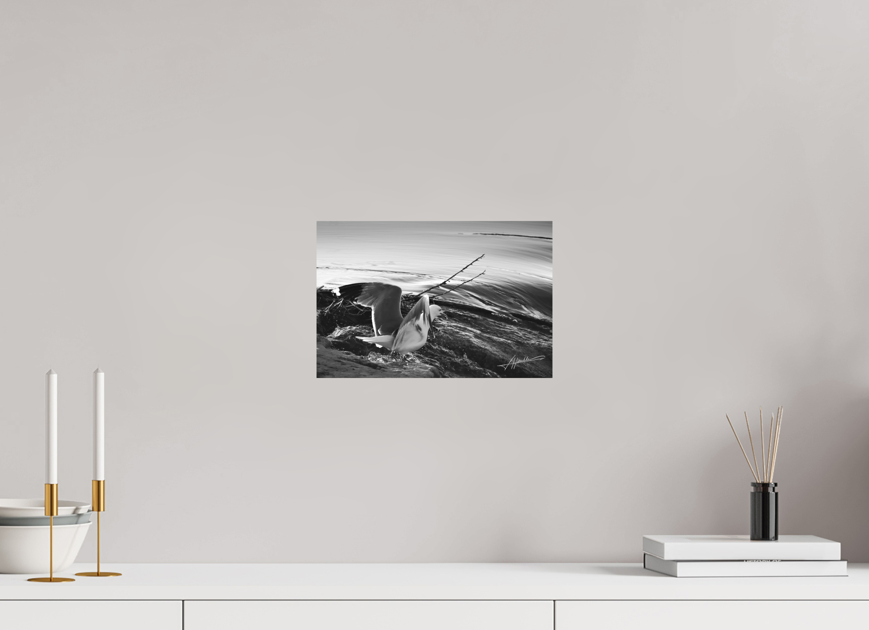 12 x 8″, Ilford Aluminum BW Seagull Takes Flight