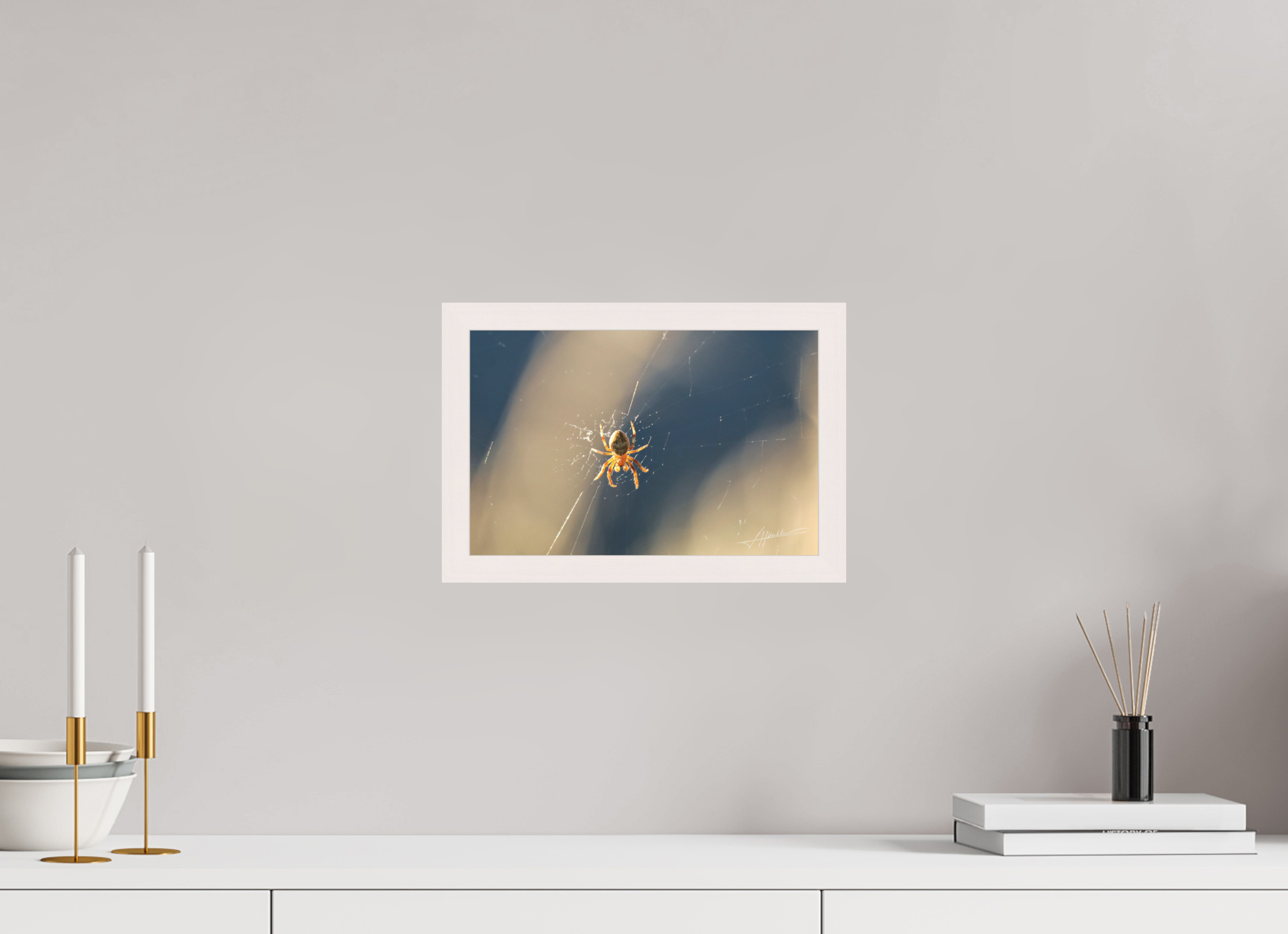 12 x 8″, Shadow Box Frame Tattered Web