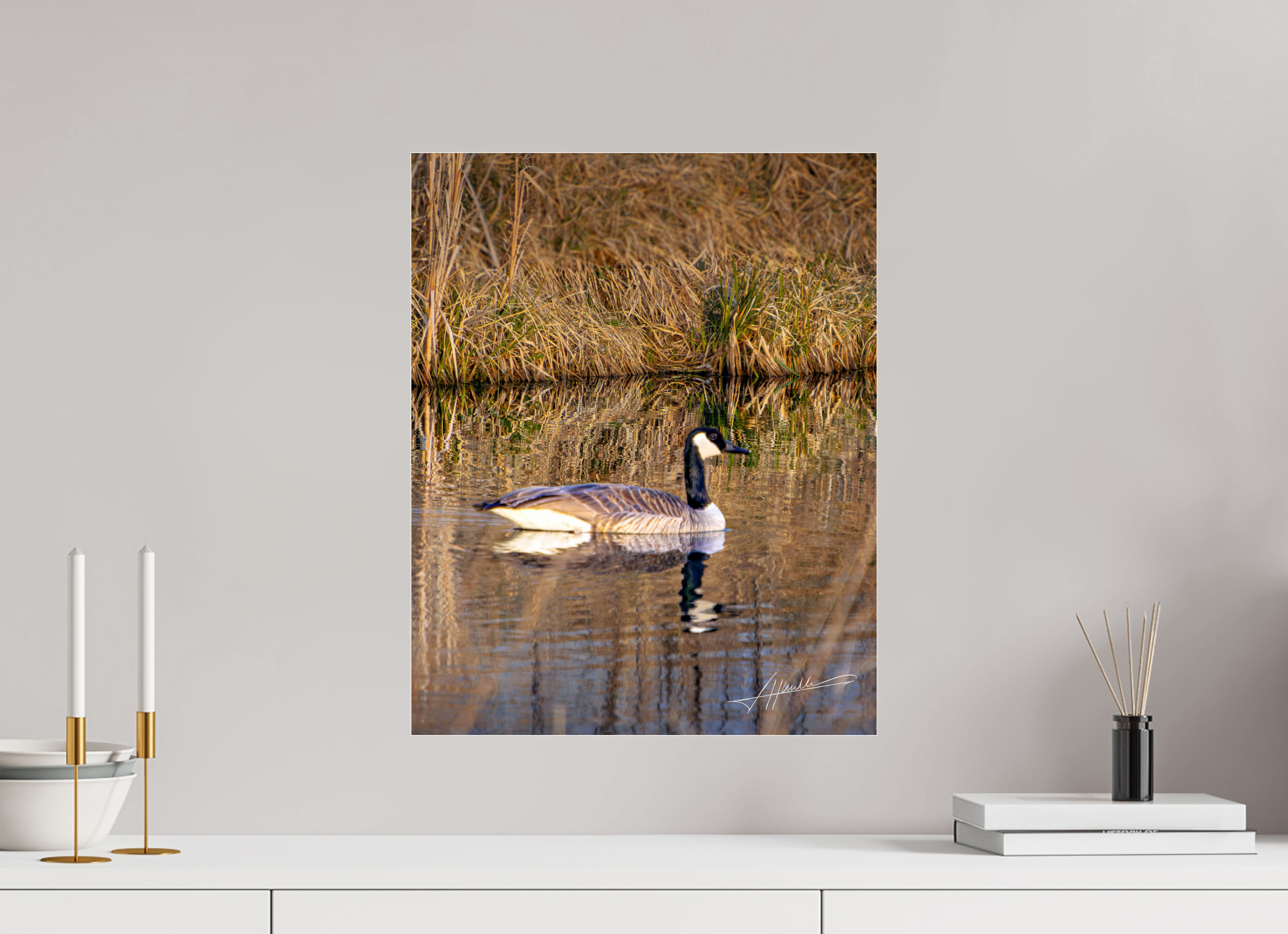 16 x 20″, Metallic Under Acrylic A Swimming Reflection