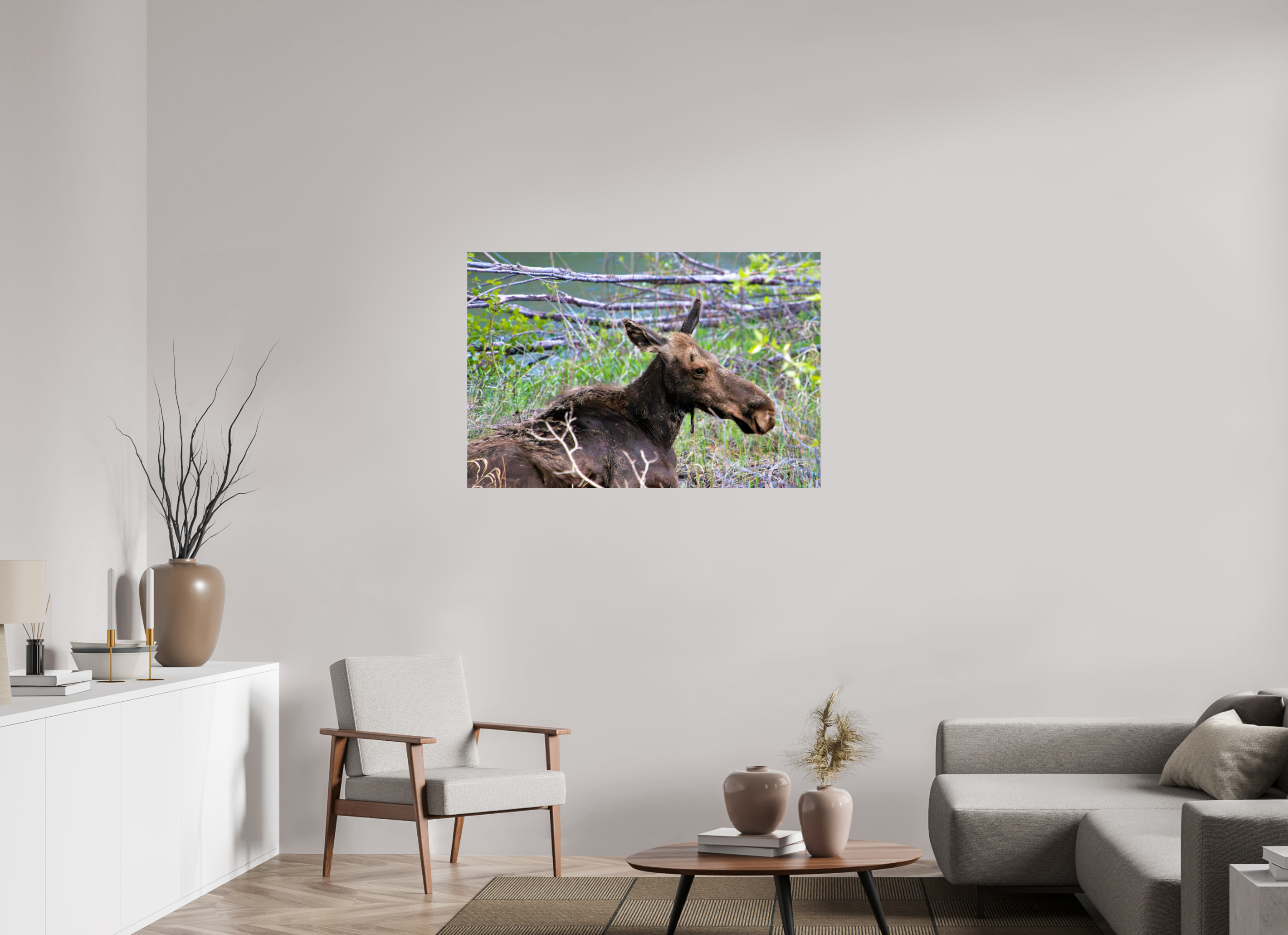 45 x 30″, ChromaLuxe HD Metal Moose Relaxing