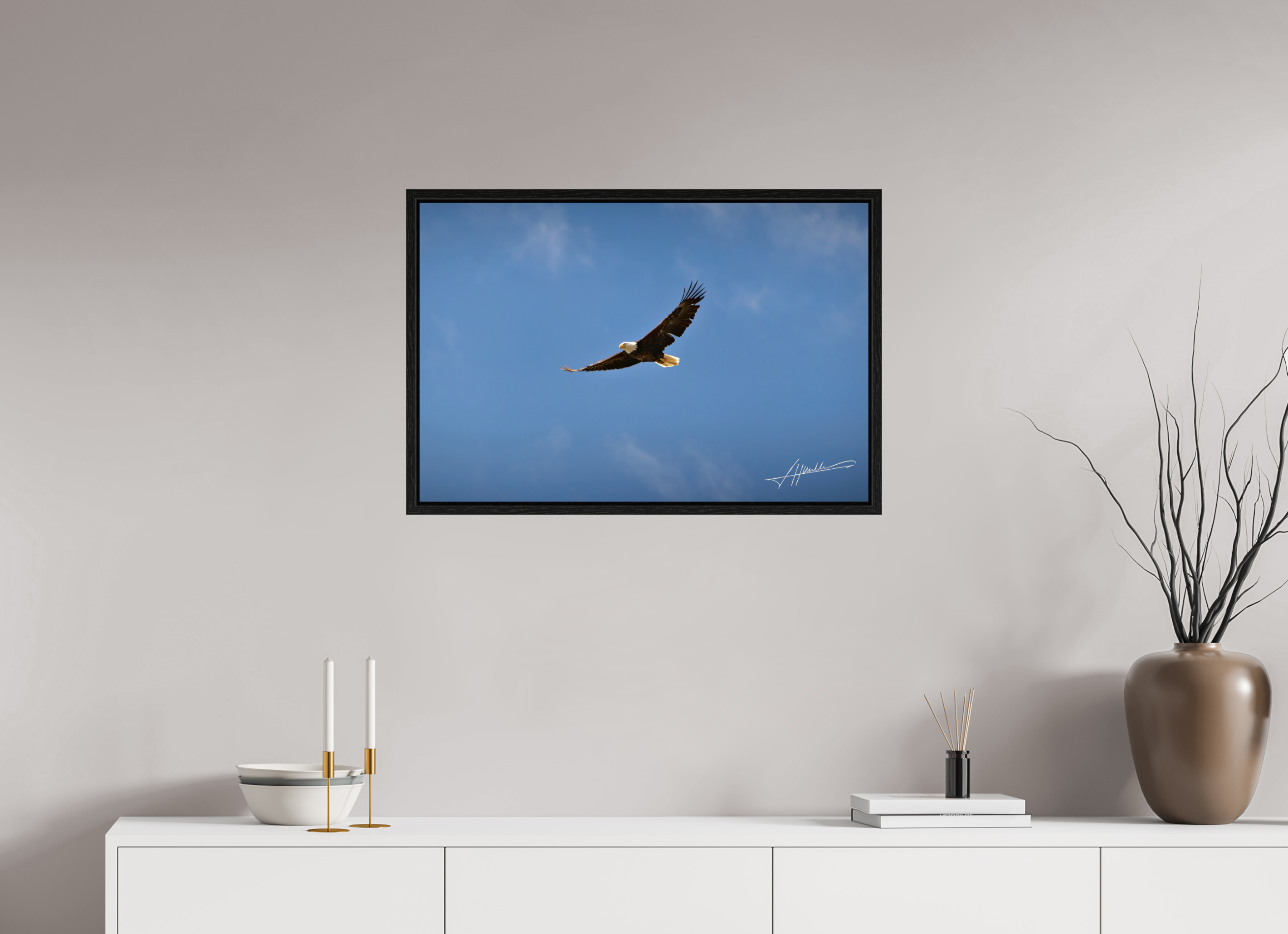 30 x 20″, Floater Frame Soaring Free