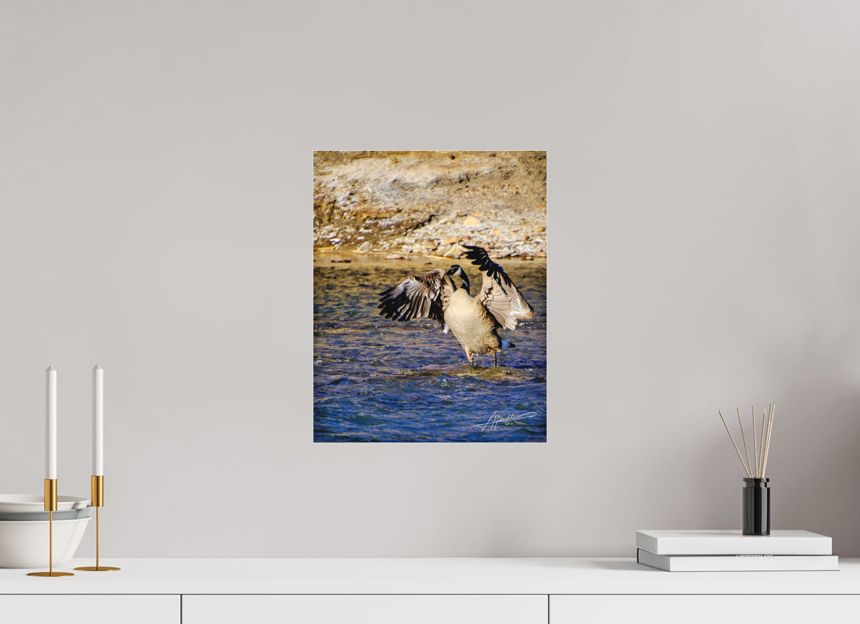 12 x 15″, Fine Pigment Under Acrylic The Bathing Goose