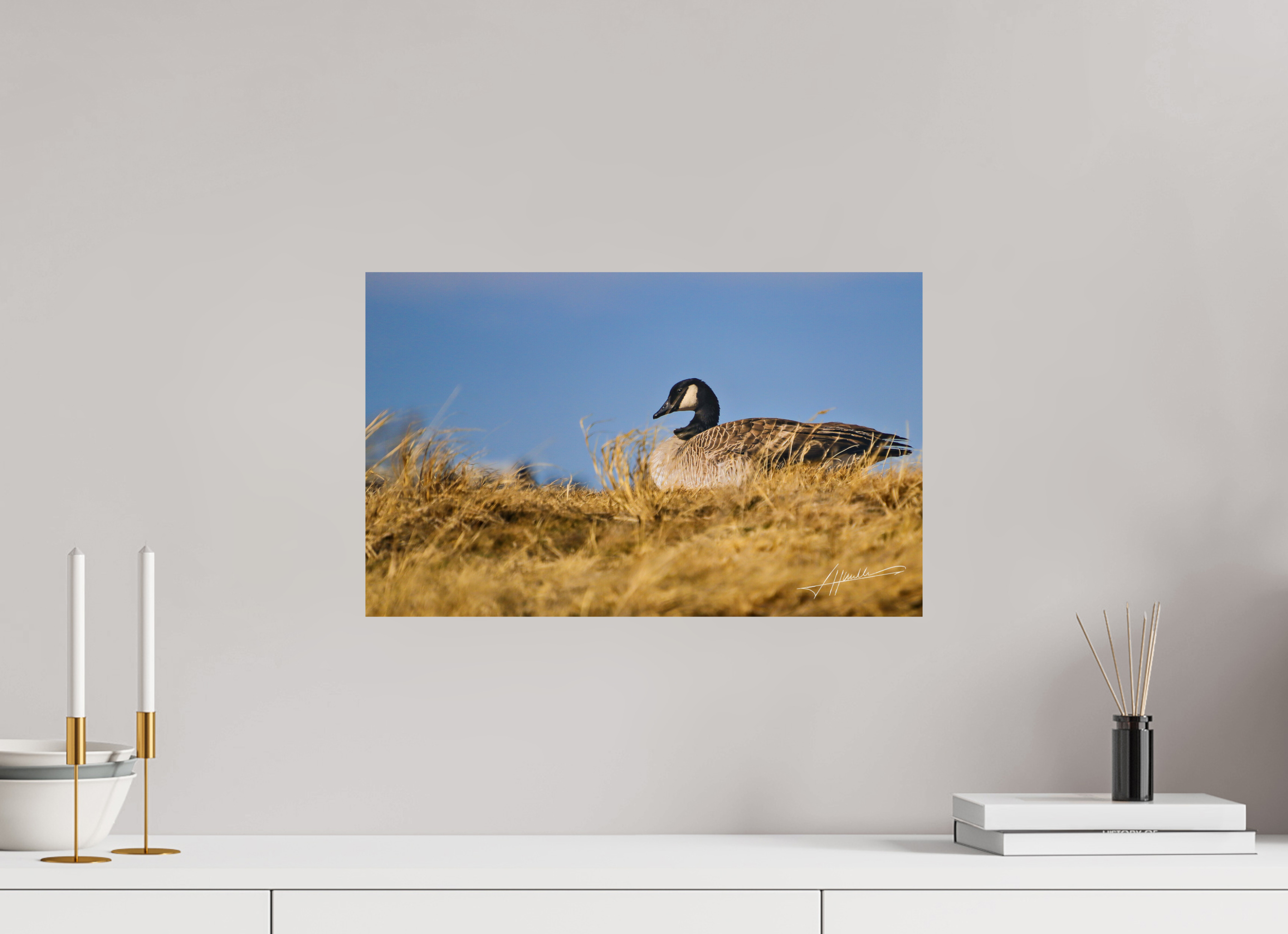 19.4 x 12″, Fine Art Print The Nesting Goose