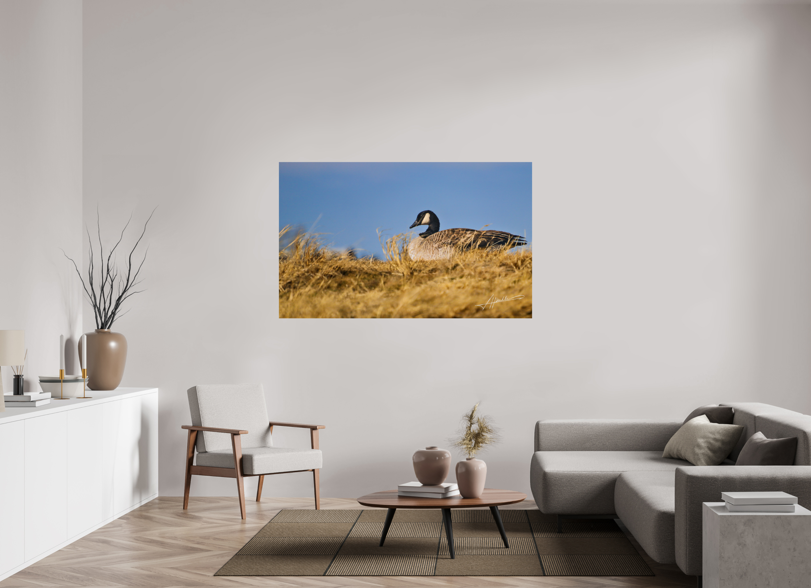 64.8 x 40″, Fine Art Print The Nesting Goose